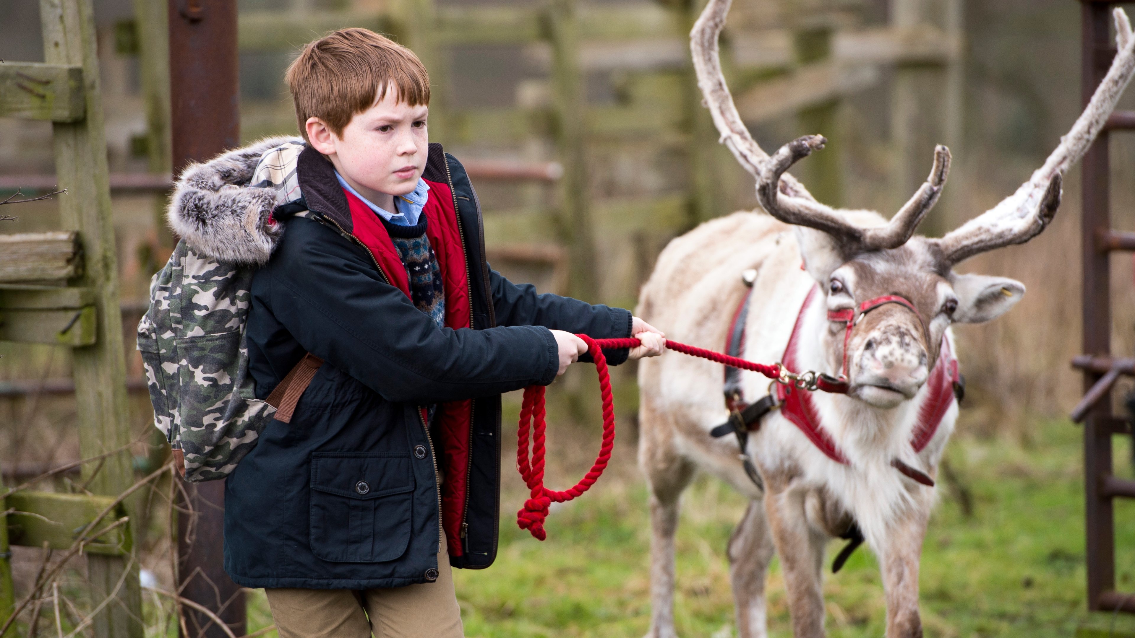 Backdrop for Get Santa