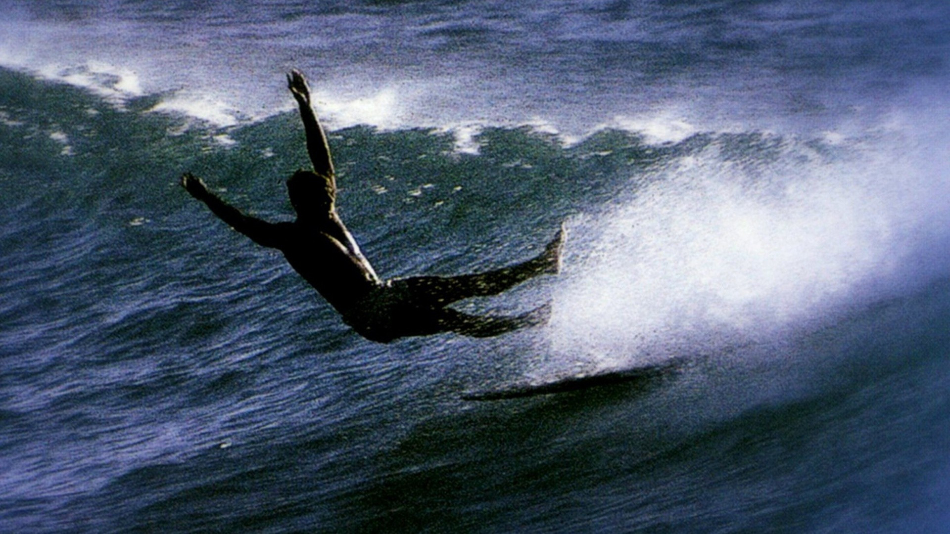 Backdrop for Slippery When Wet