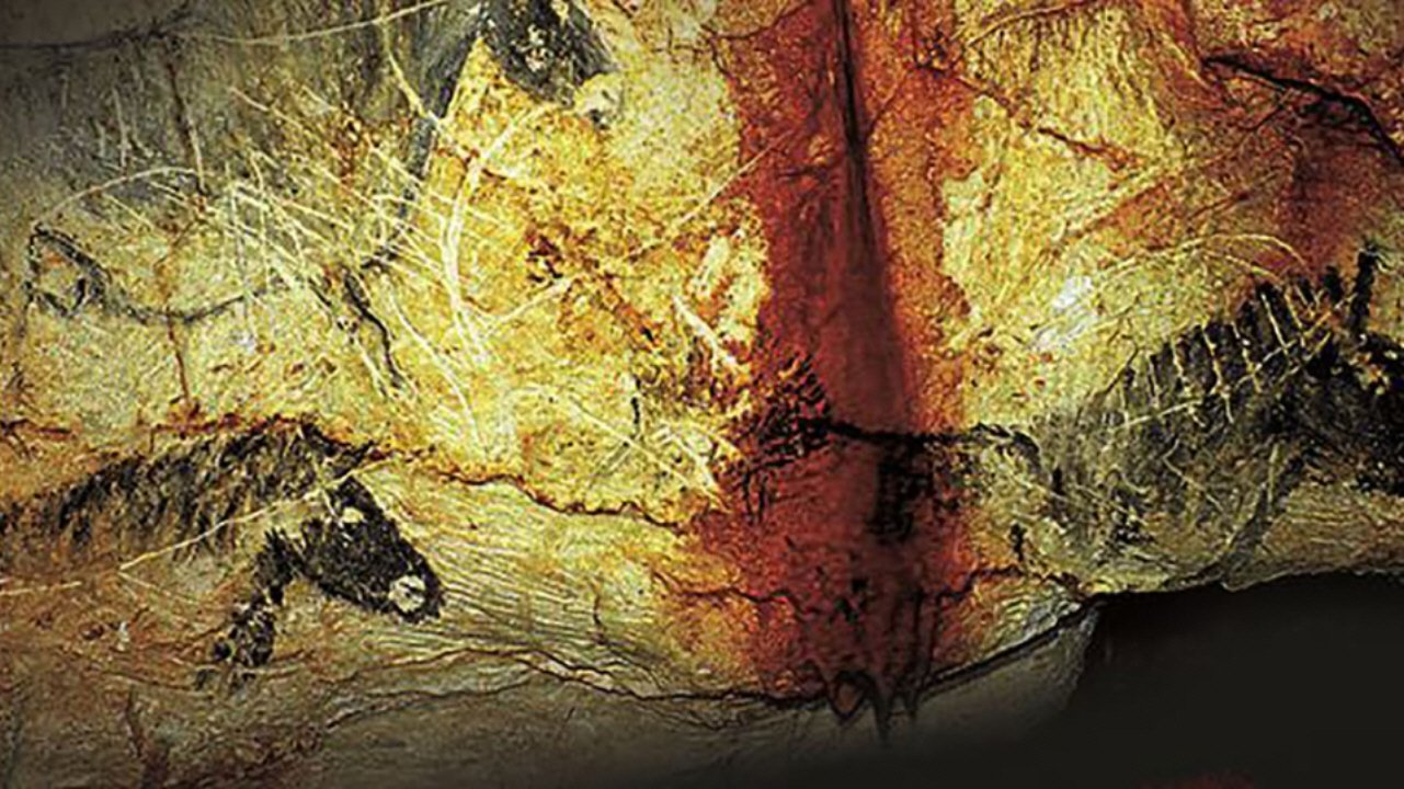 Backdrop for Sapiens & the Sea