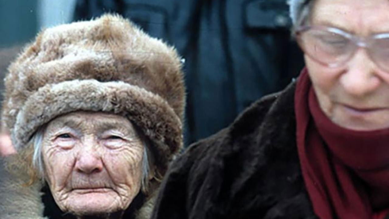 Backdrop for Landscape