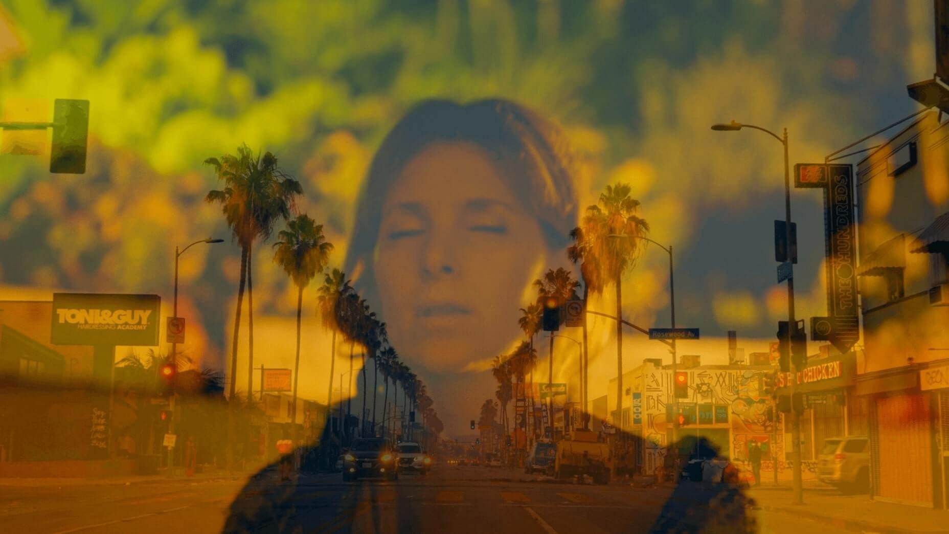 Backdrop for Traveling Light