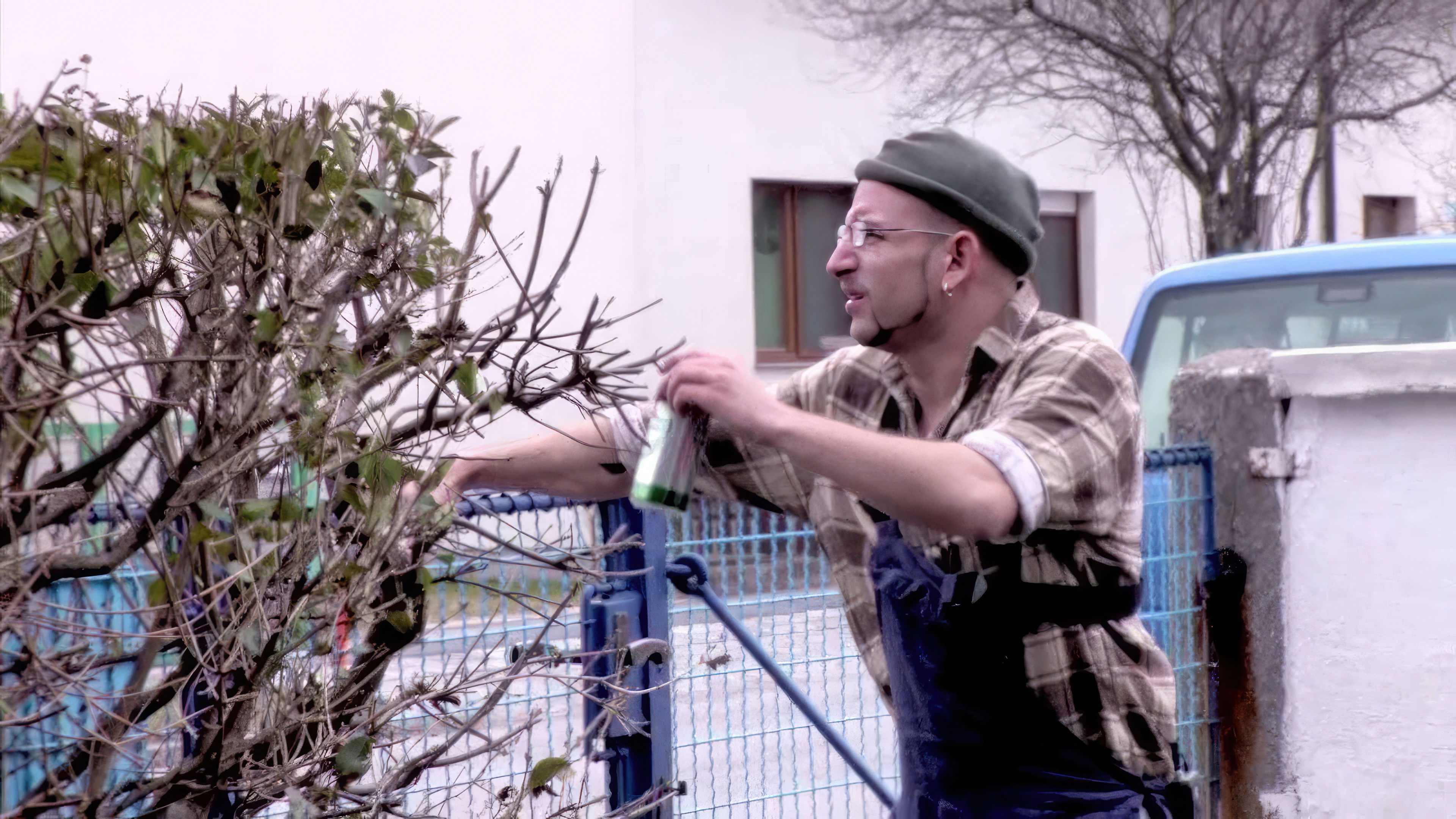 Backdrop for Horvathslos