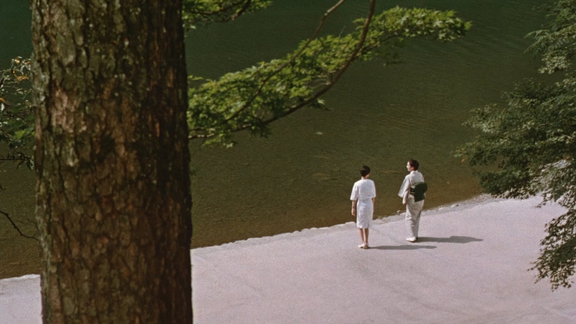 Backdrop for The End of Summer