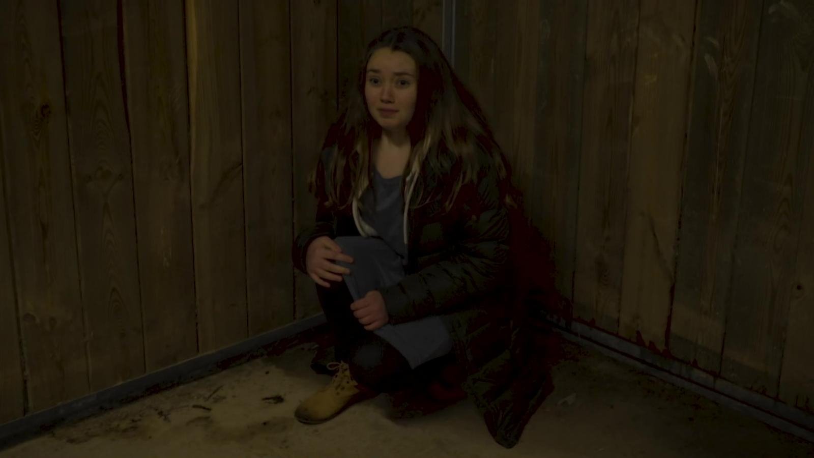 Backdrop for Bride of Scarecrow