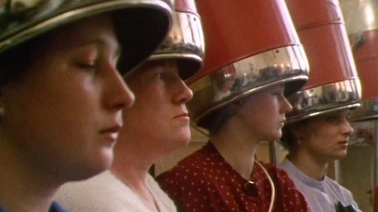 Backdrop for HyperNormalisation