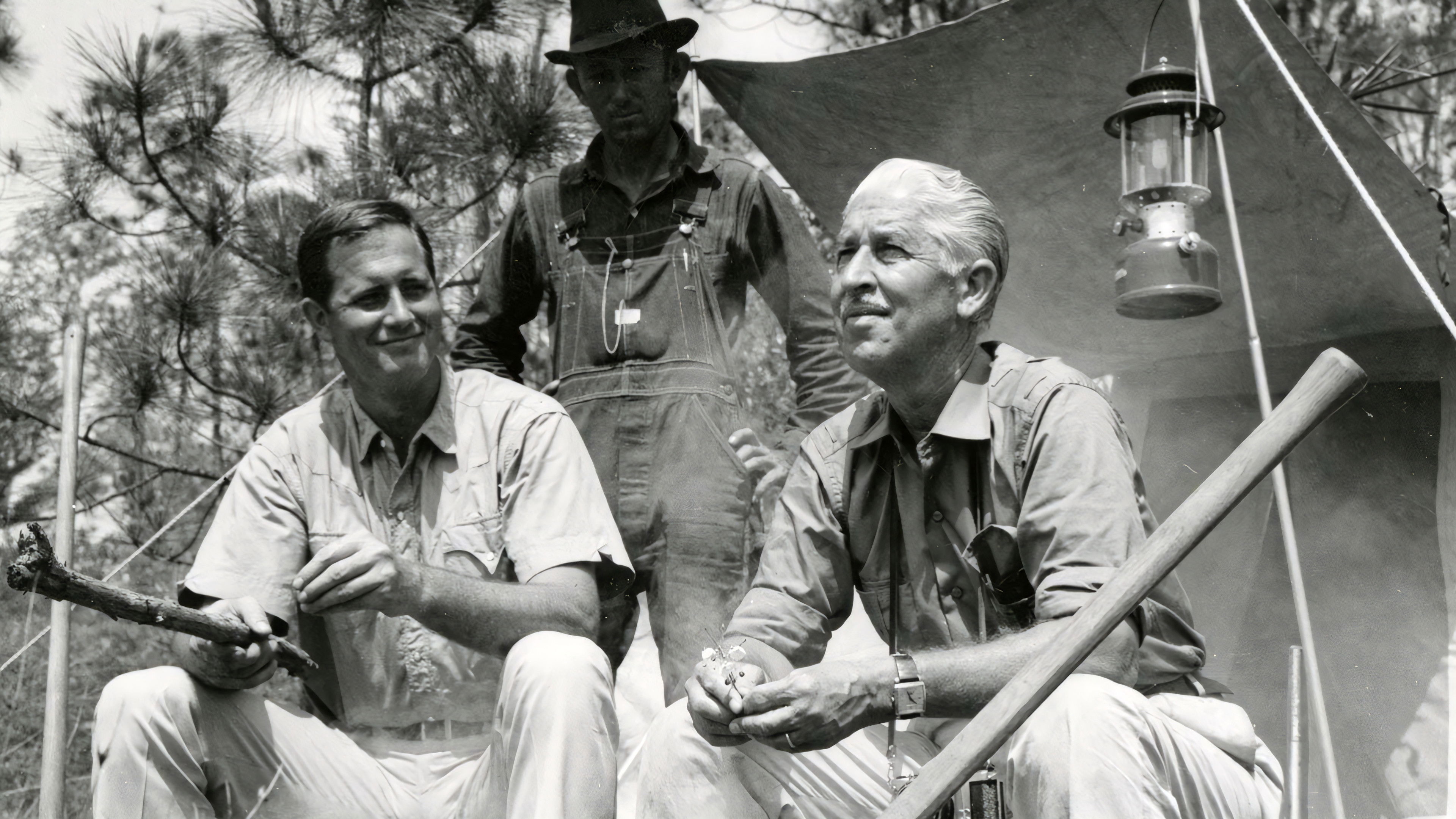 Backdrop for Mutual of Omaha's Wild Kingdom