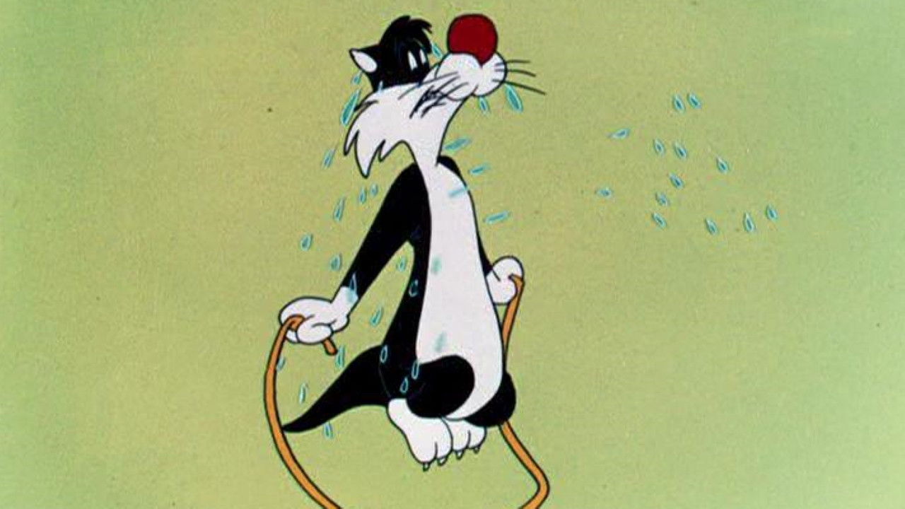 Backdrop for Hop, Look and Listen