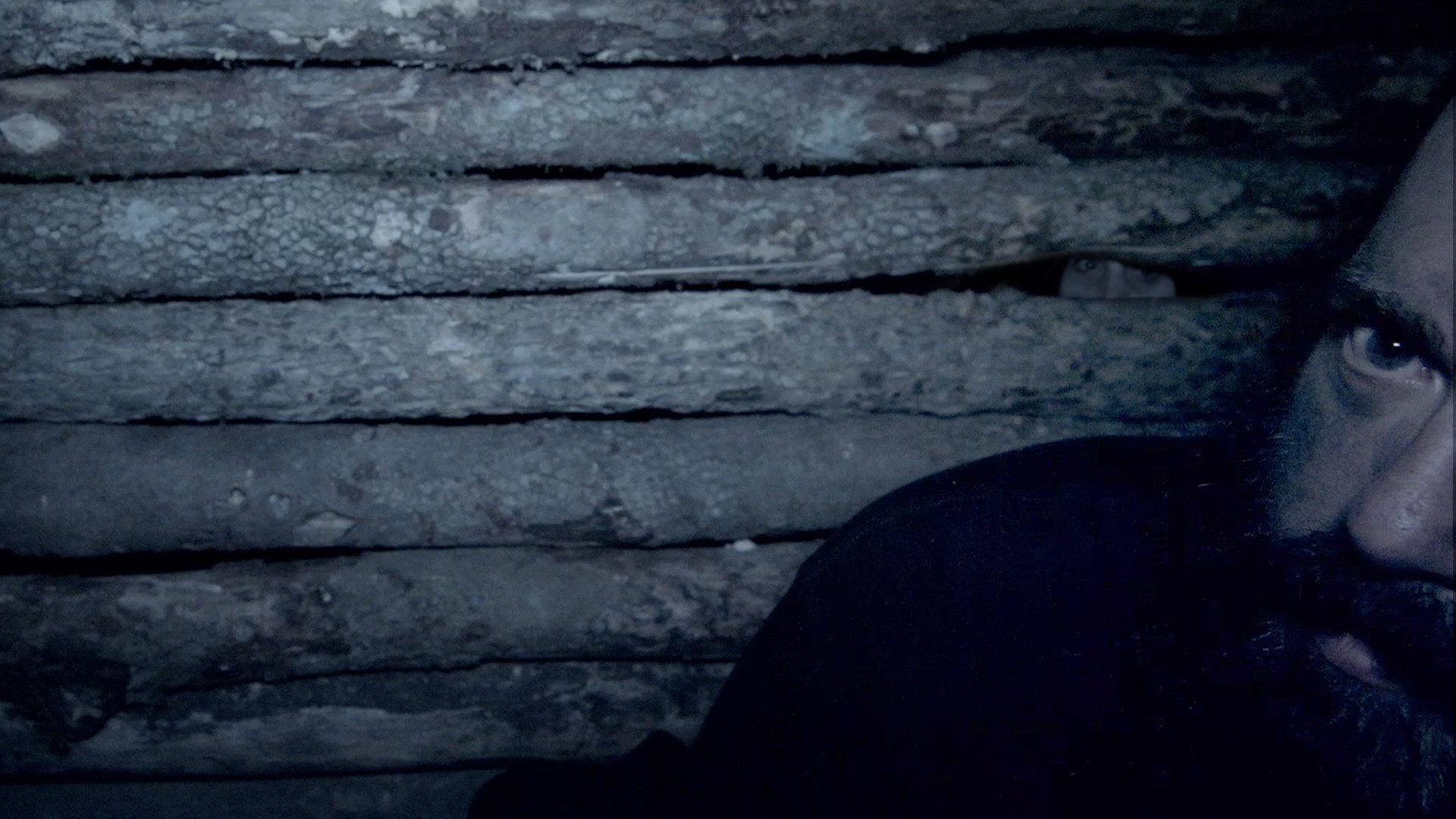 Backdrop for Survive the Hollow Shoals