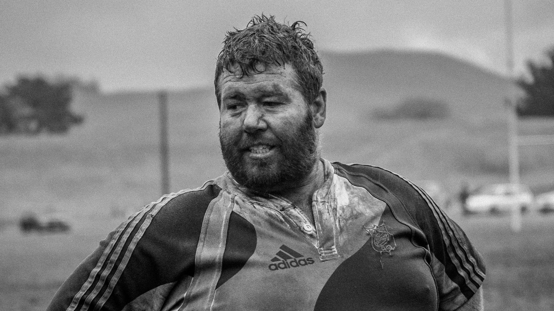 Backdrop for The Ground We Won