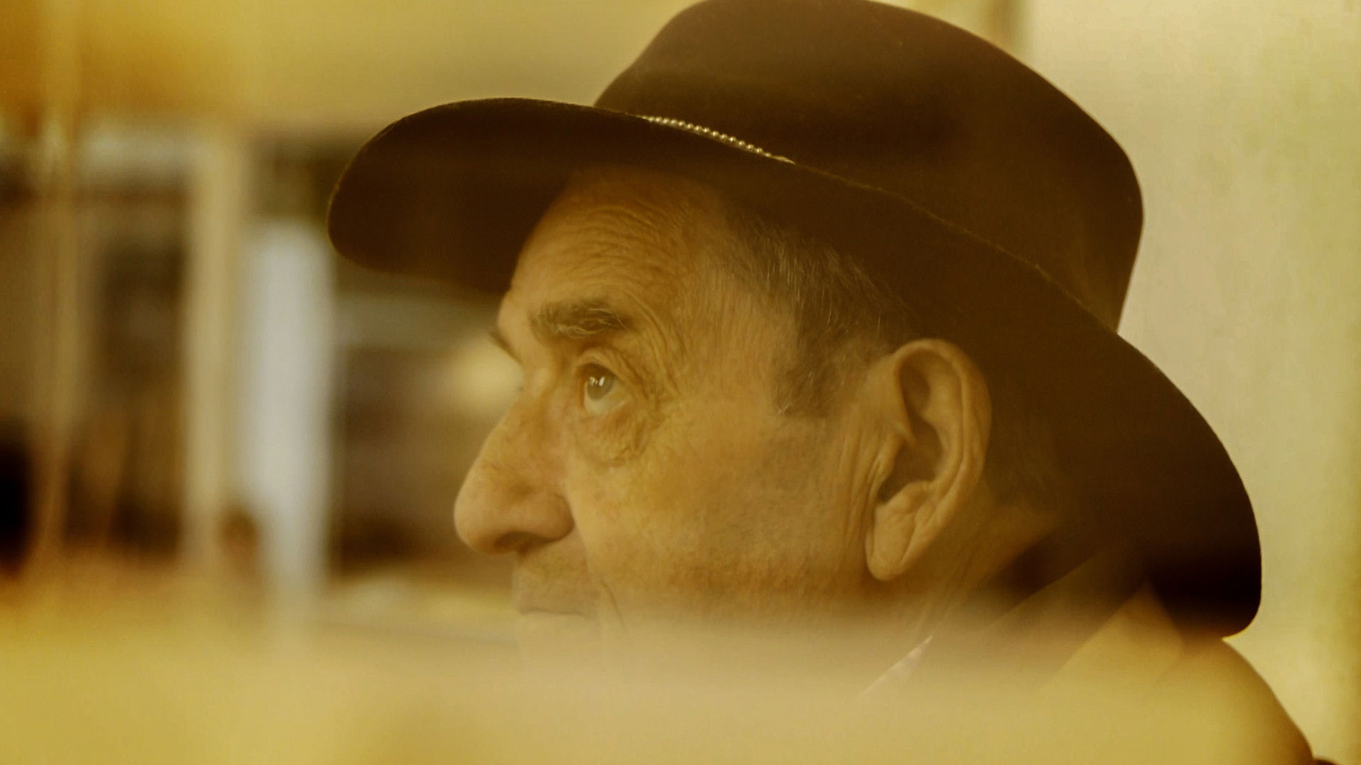 Backdrop for Dinolandia