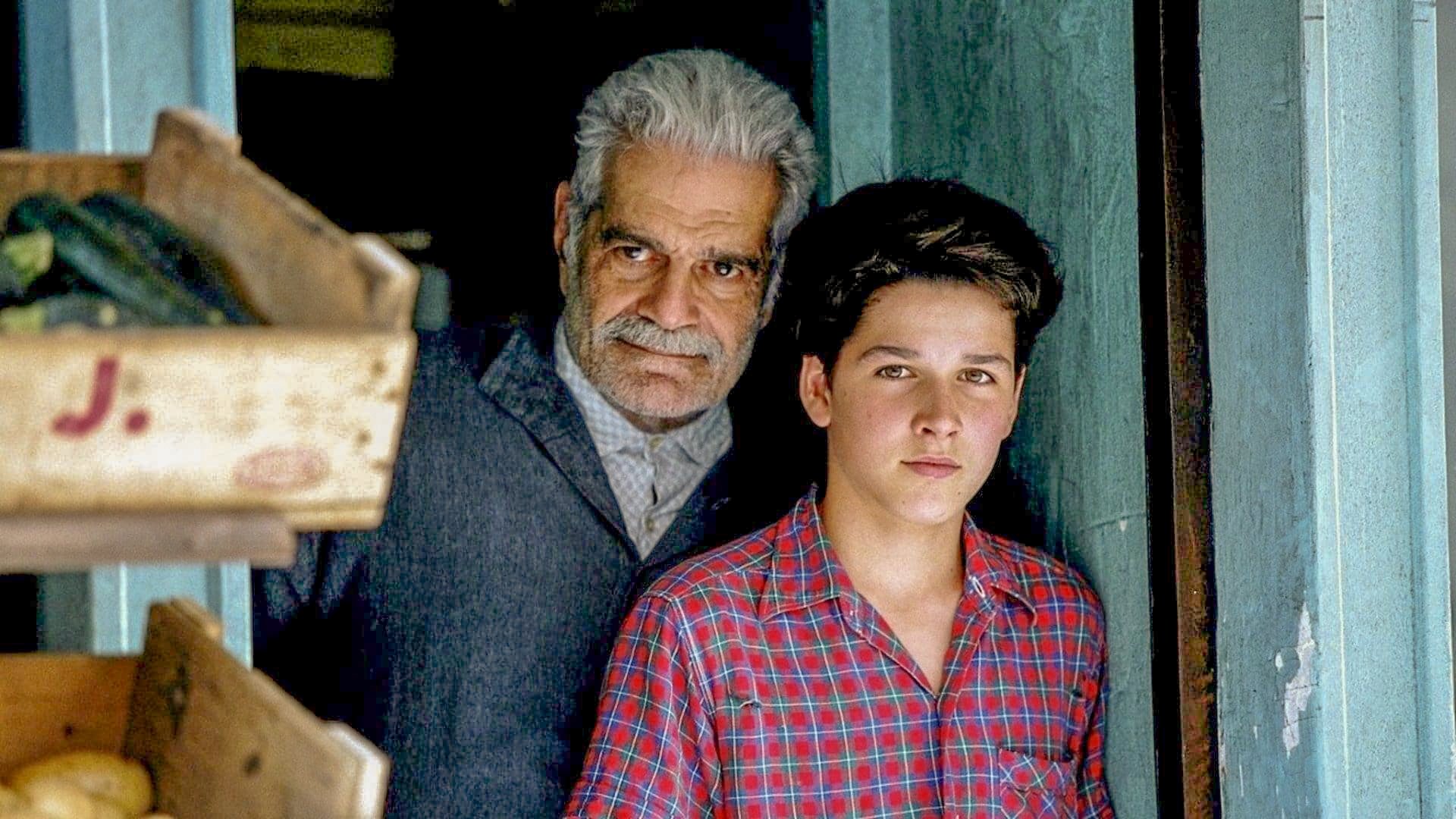 Backdrop for Monsieur Ibrahim