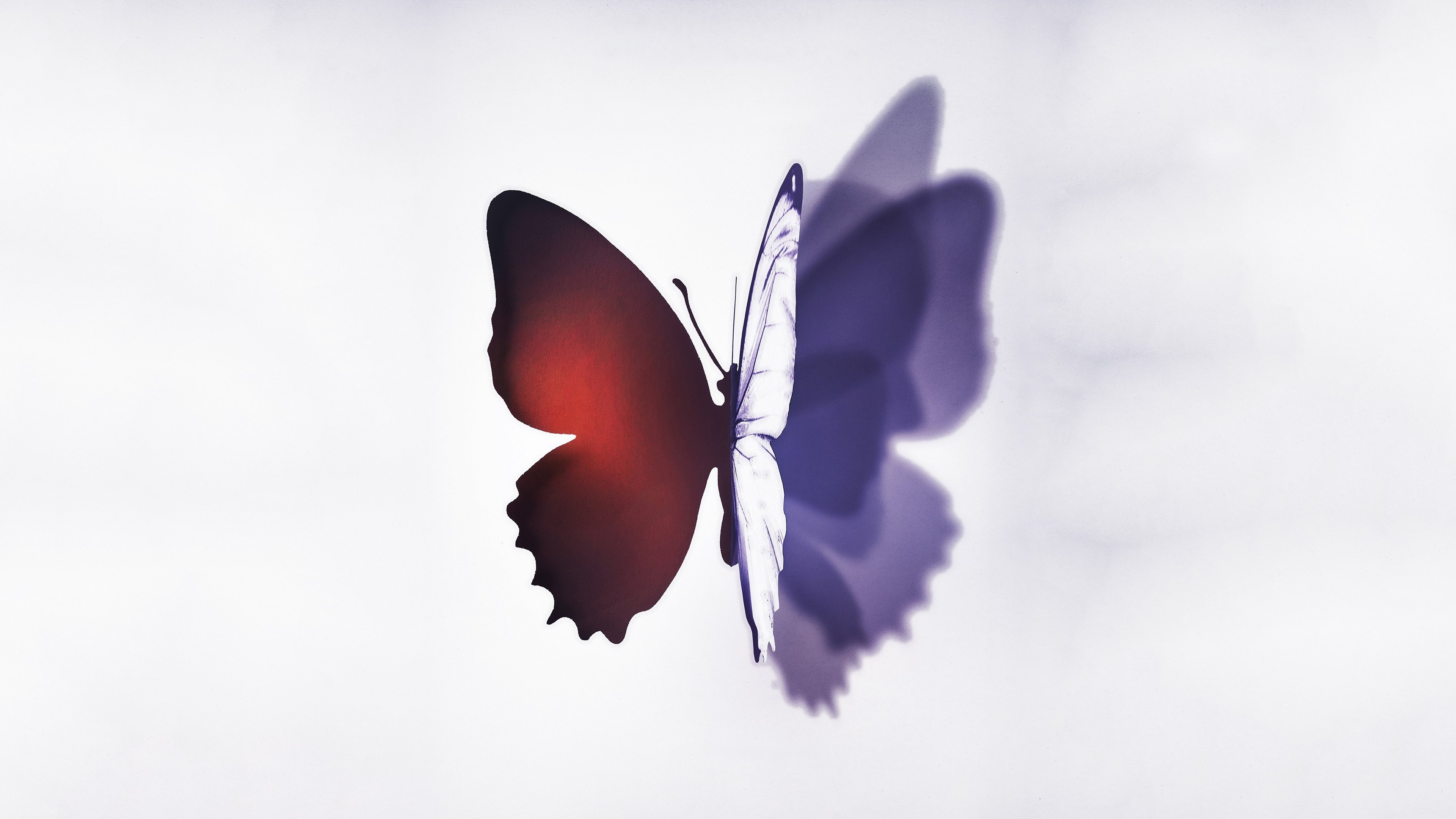 Backdrop for Complete Unknown