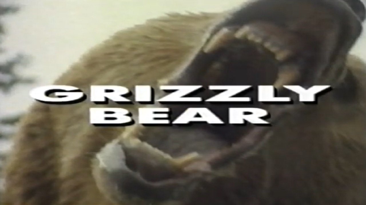 Backdrop for Predators of the Wild: Grizzly Bear