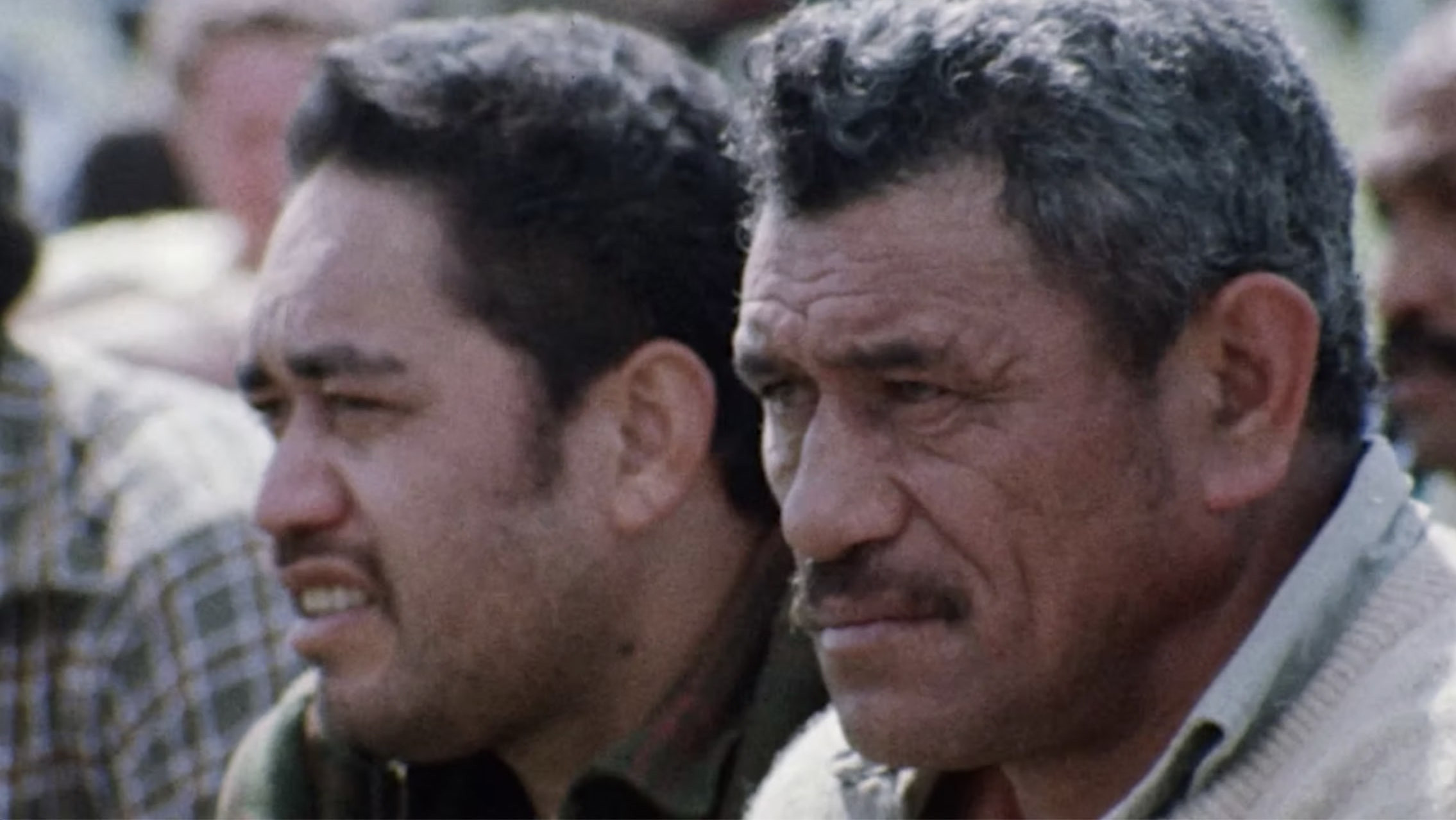 Backdrop for Kinleith '80