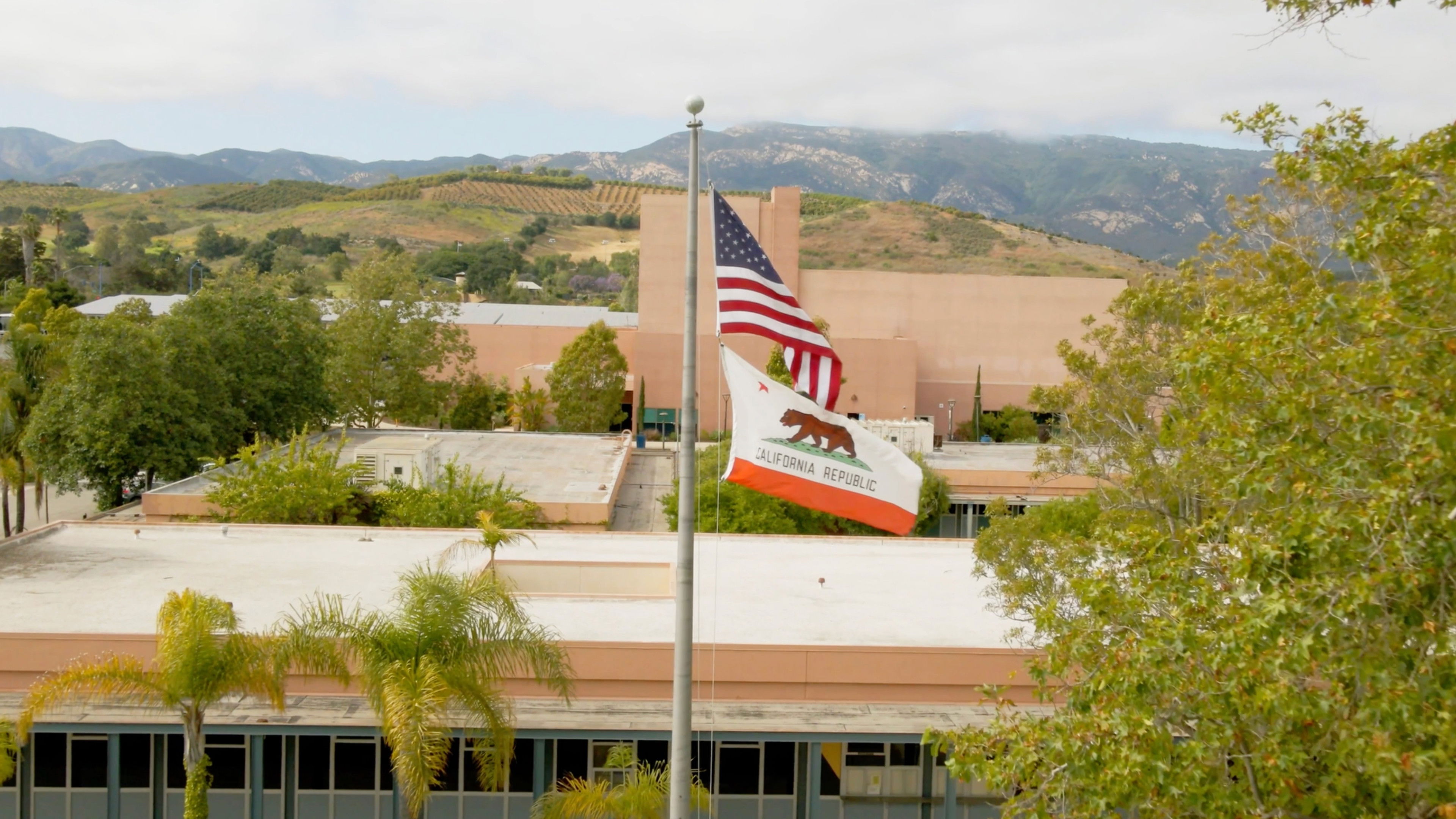 Backdrop for The Bear Beneath