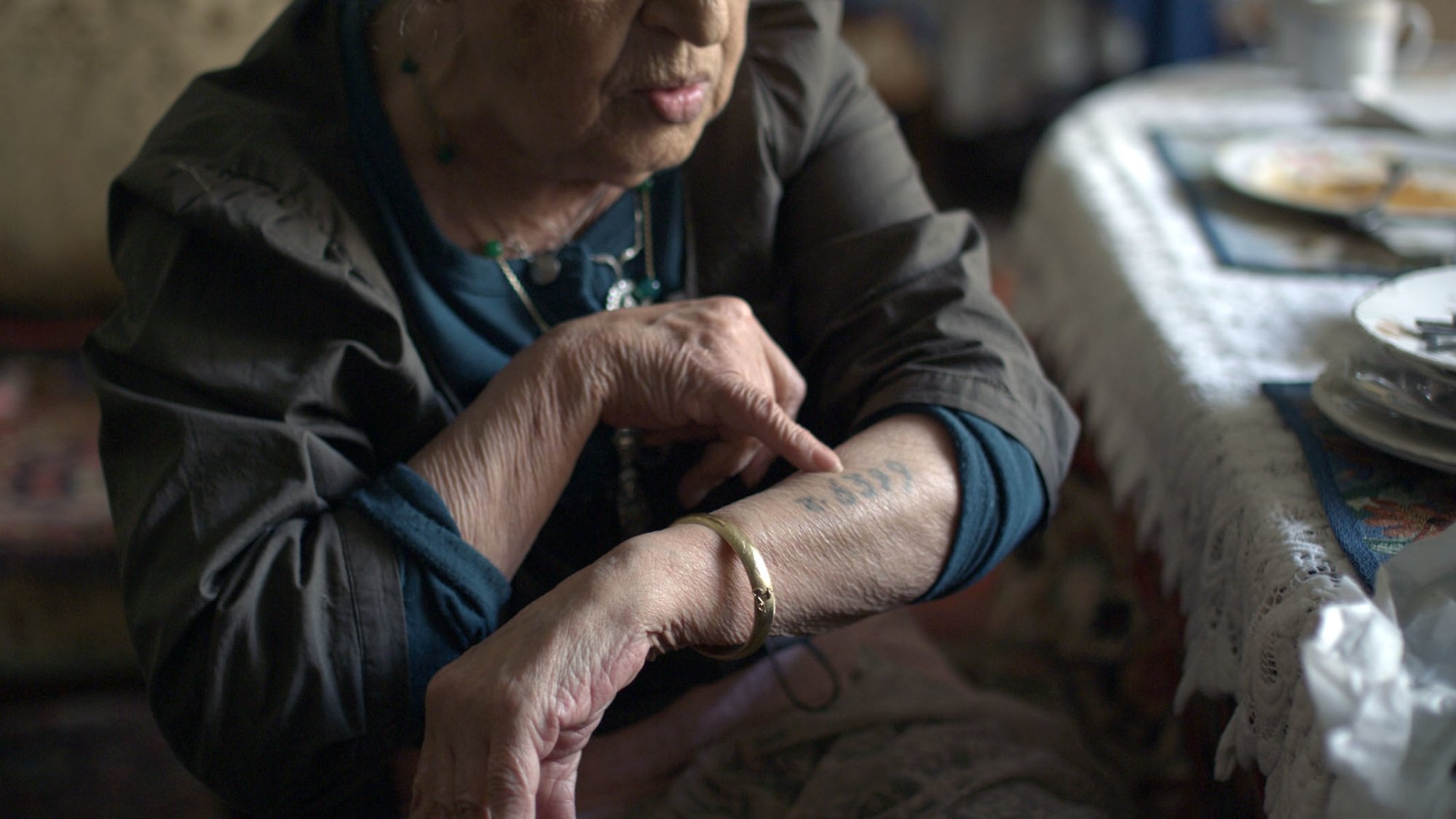 Backdrop for A People Uncounted: The Untold Story of the Roma