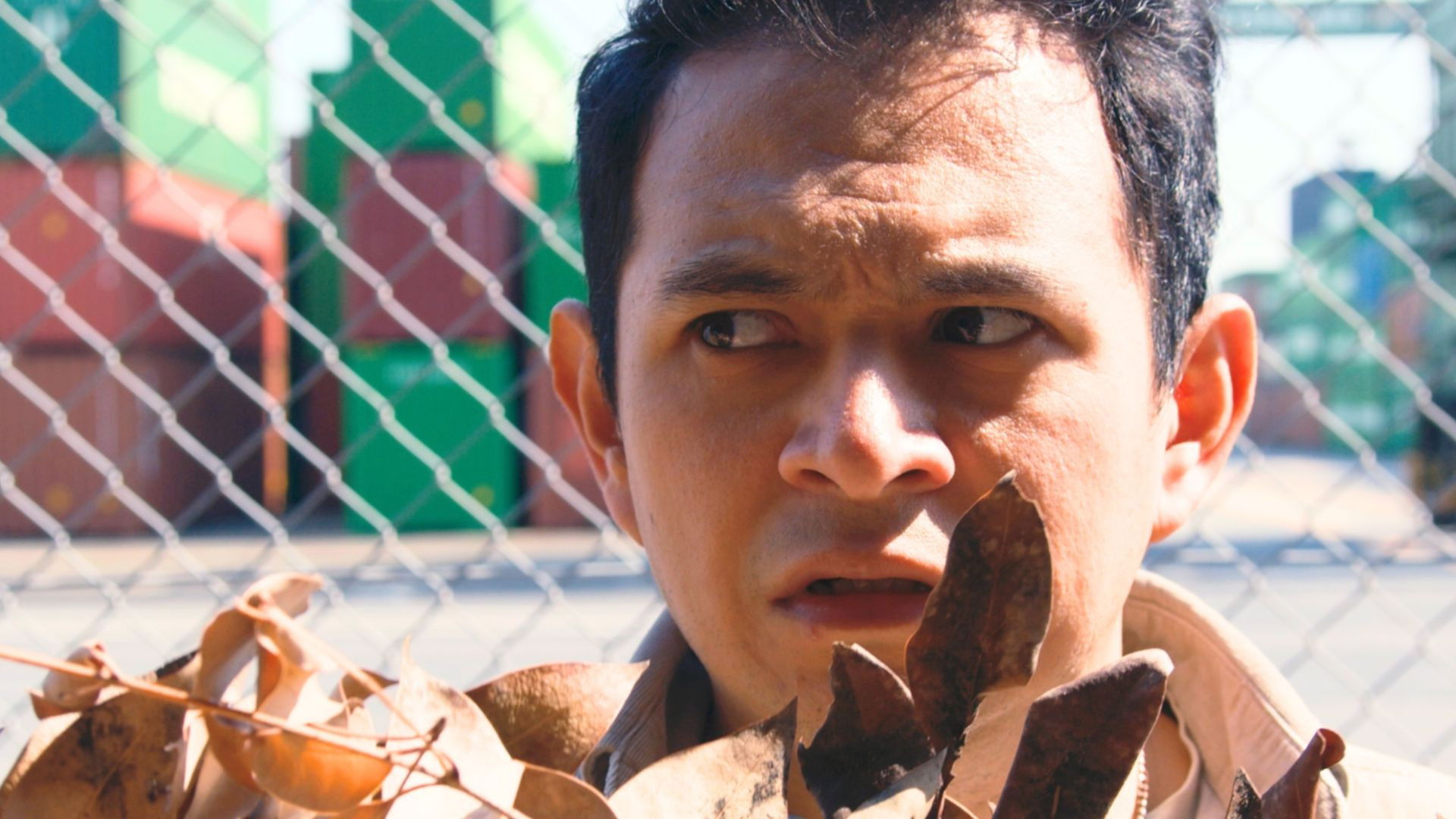 Backdrop for ALBERT 7