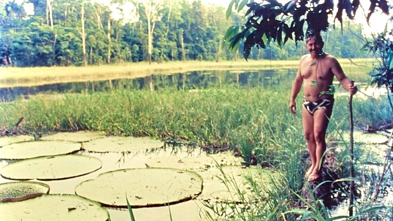 Backdrop for Terceiro Milênio