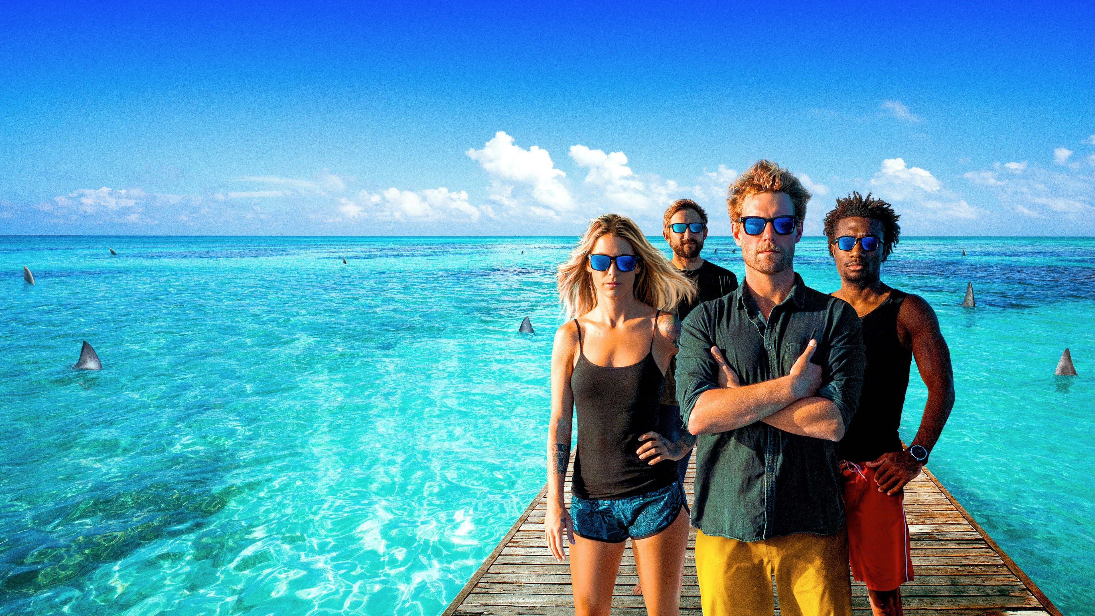 Backdrop for Shark Academy