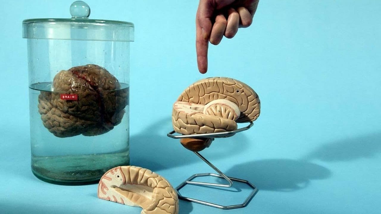 Backdrop for Look Around You