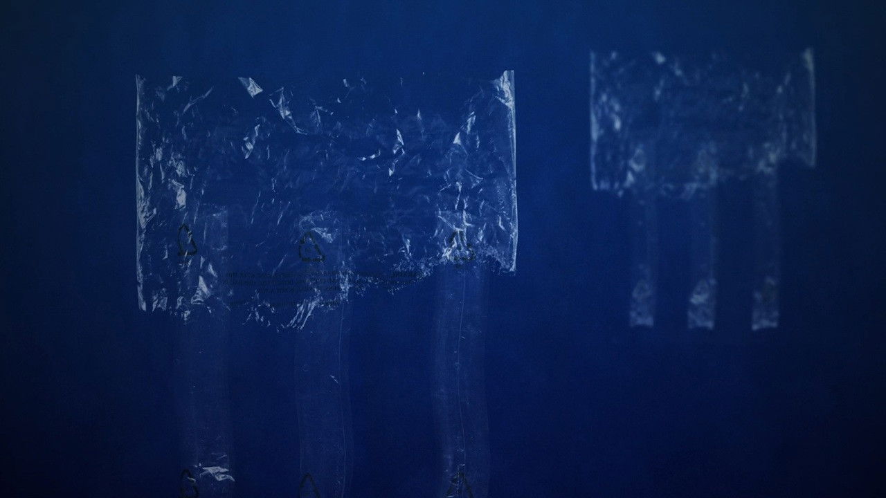 Backdrop for The Skoupidozoic Era