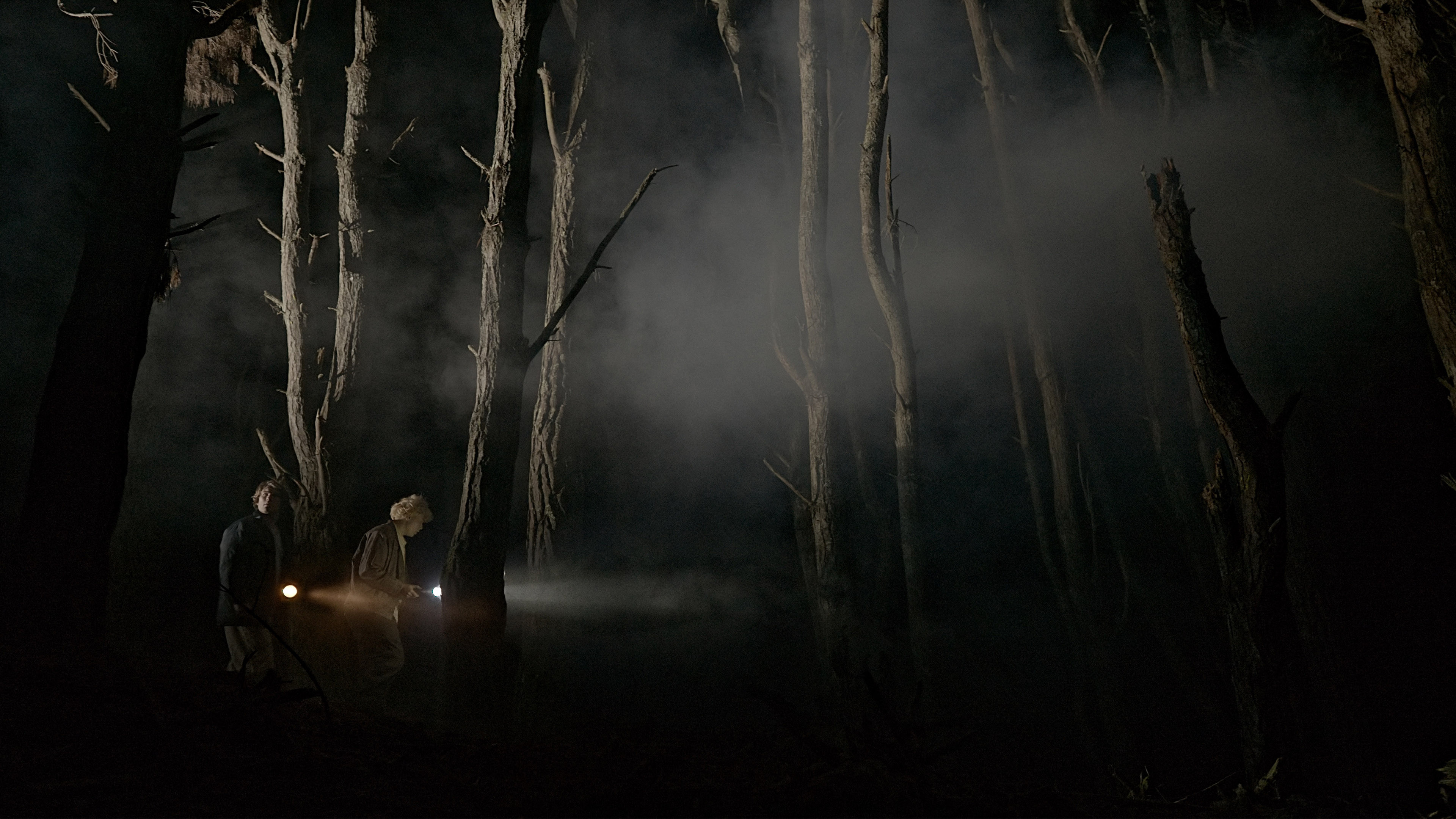 Backdrop for The Weta