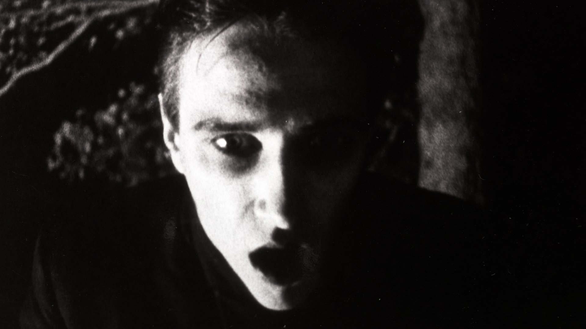 Backdrop for Strasek, der Vampir