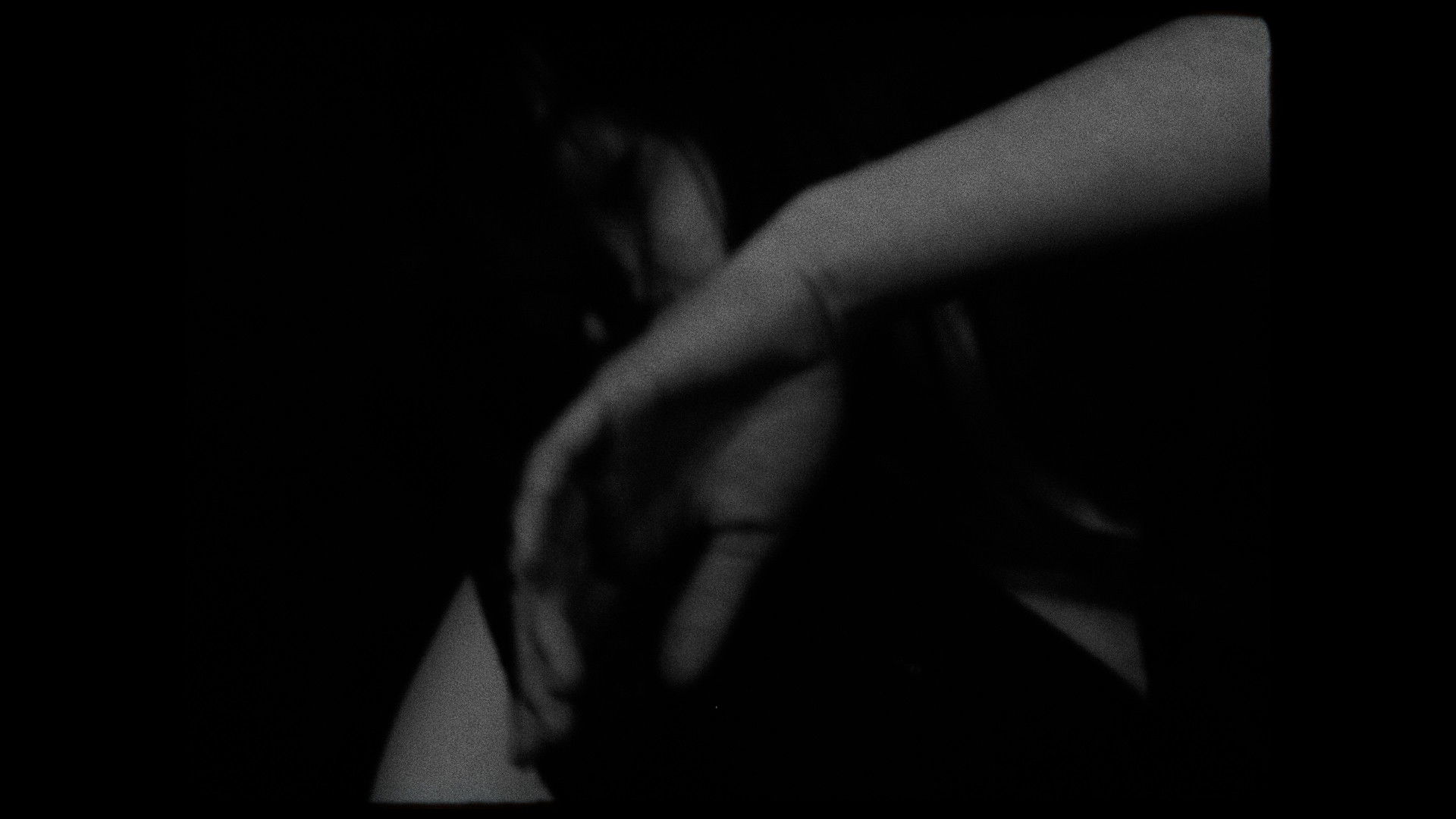 Backdrop for Metamorphosis