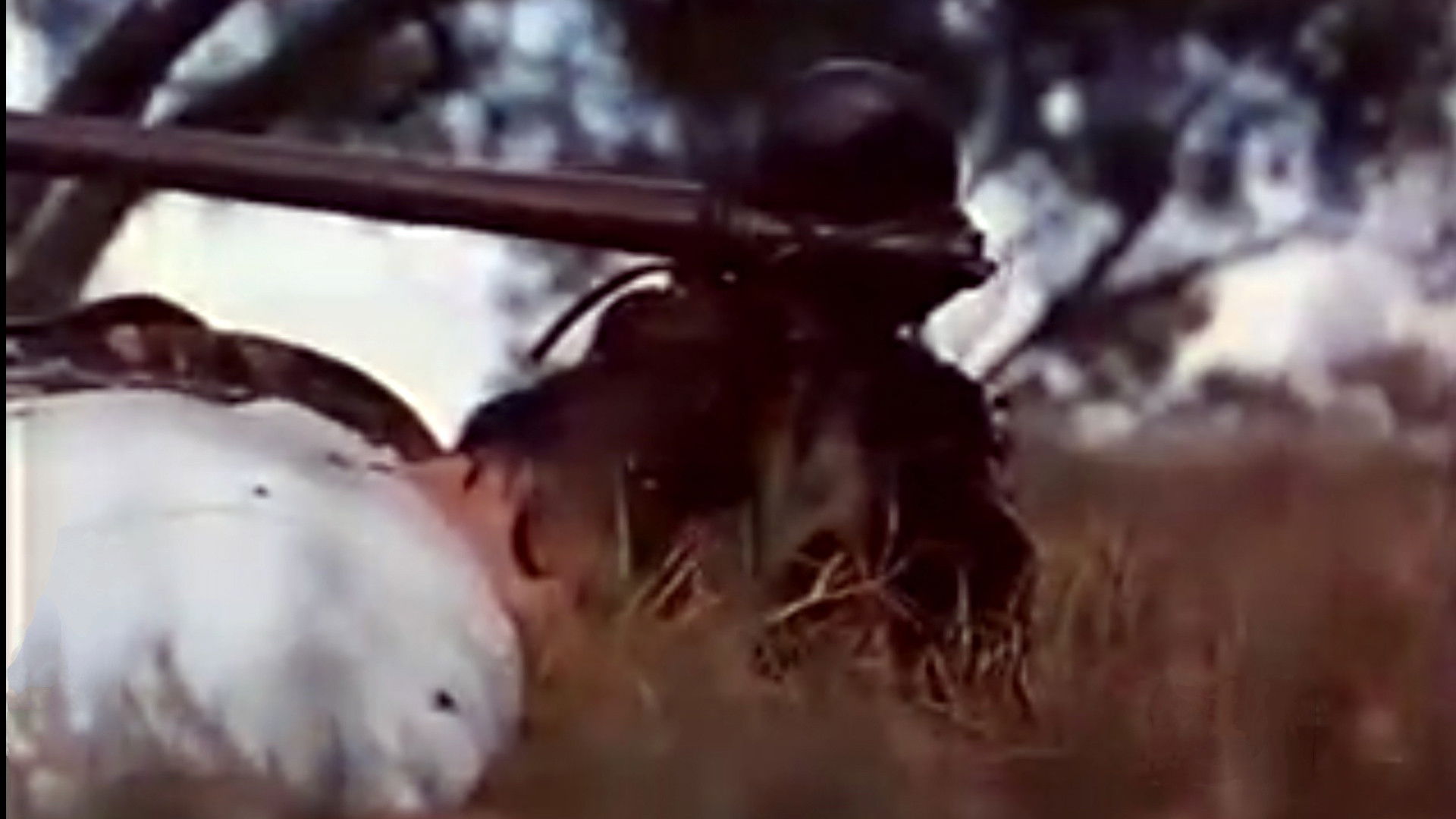 Backdrop for Demon Warrior