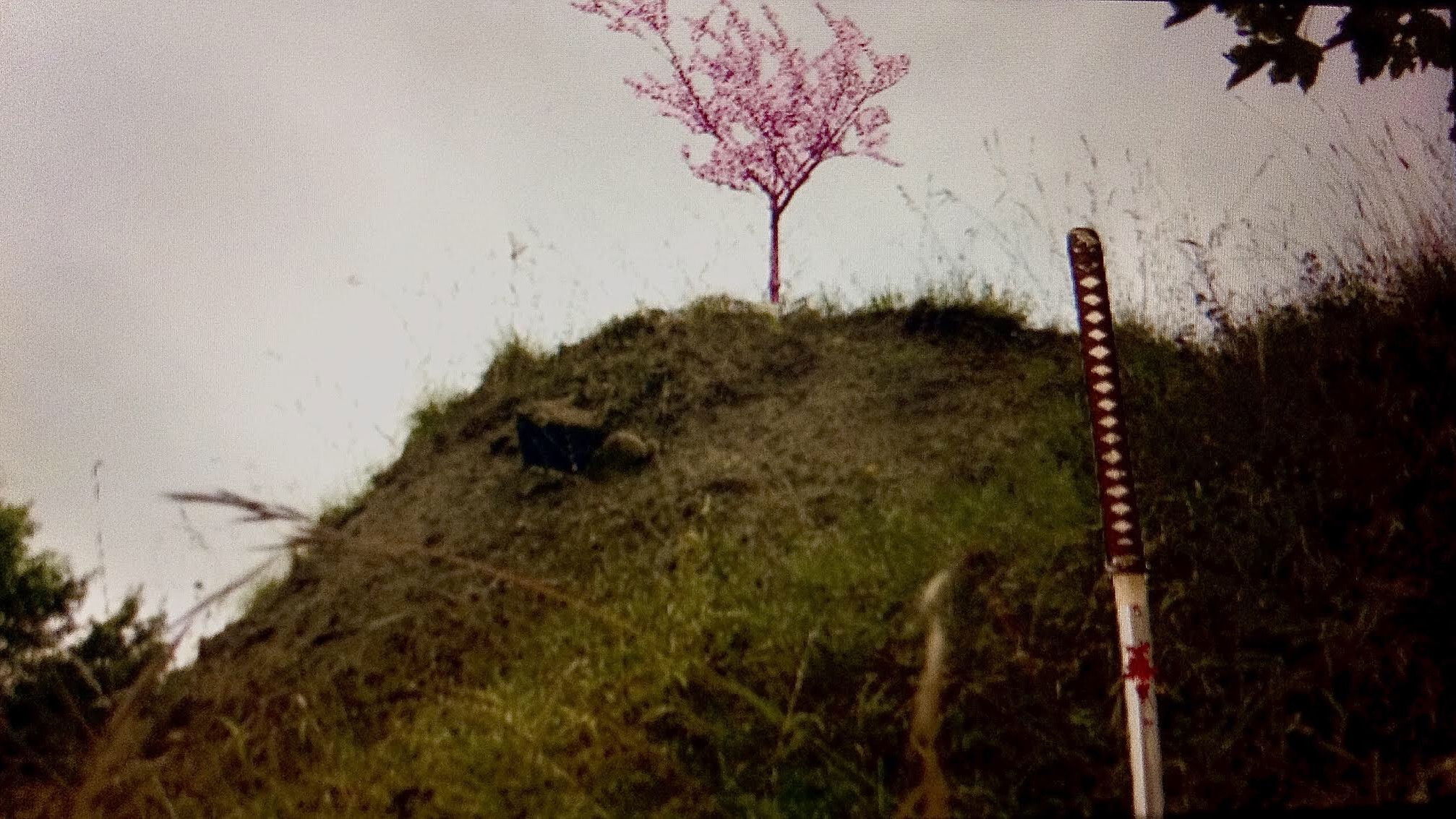 Backdrop for Havoc in Highfields Volume II: Call of The Cavalry