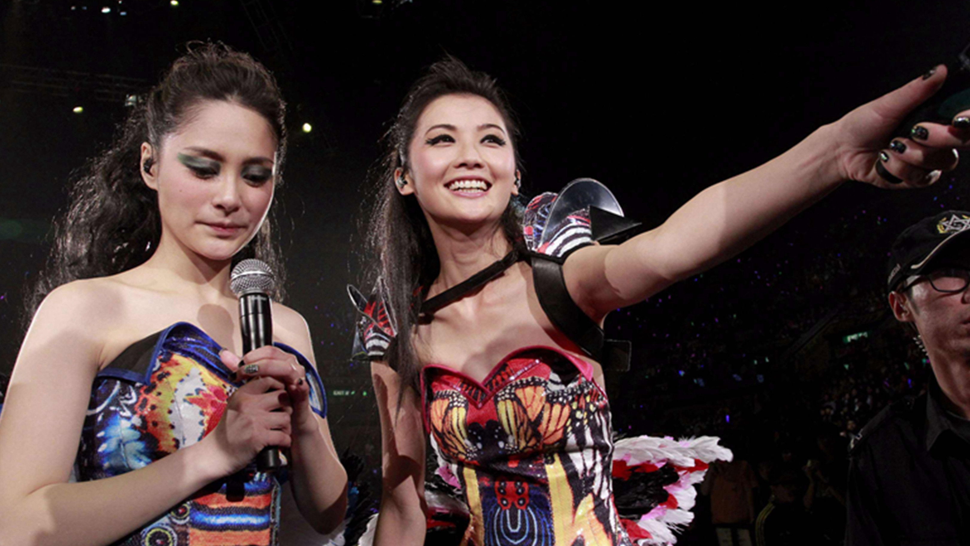 Backdrop for Twins 2010 Concert