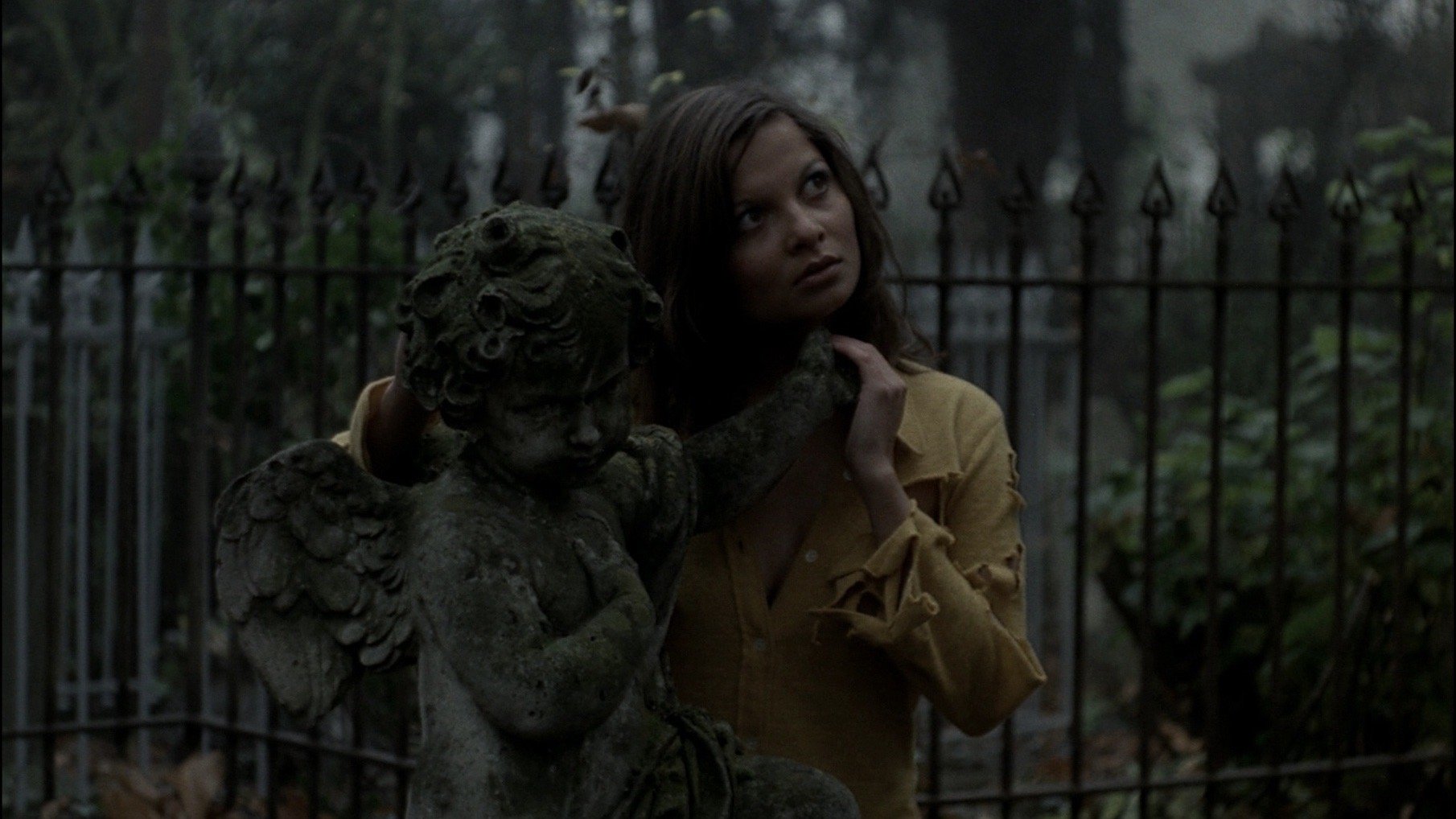 Backdrop for The Iron Rose