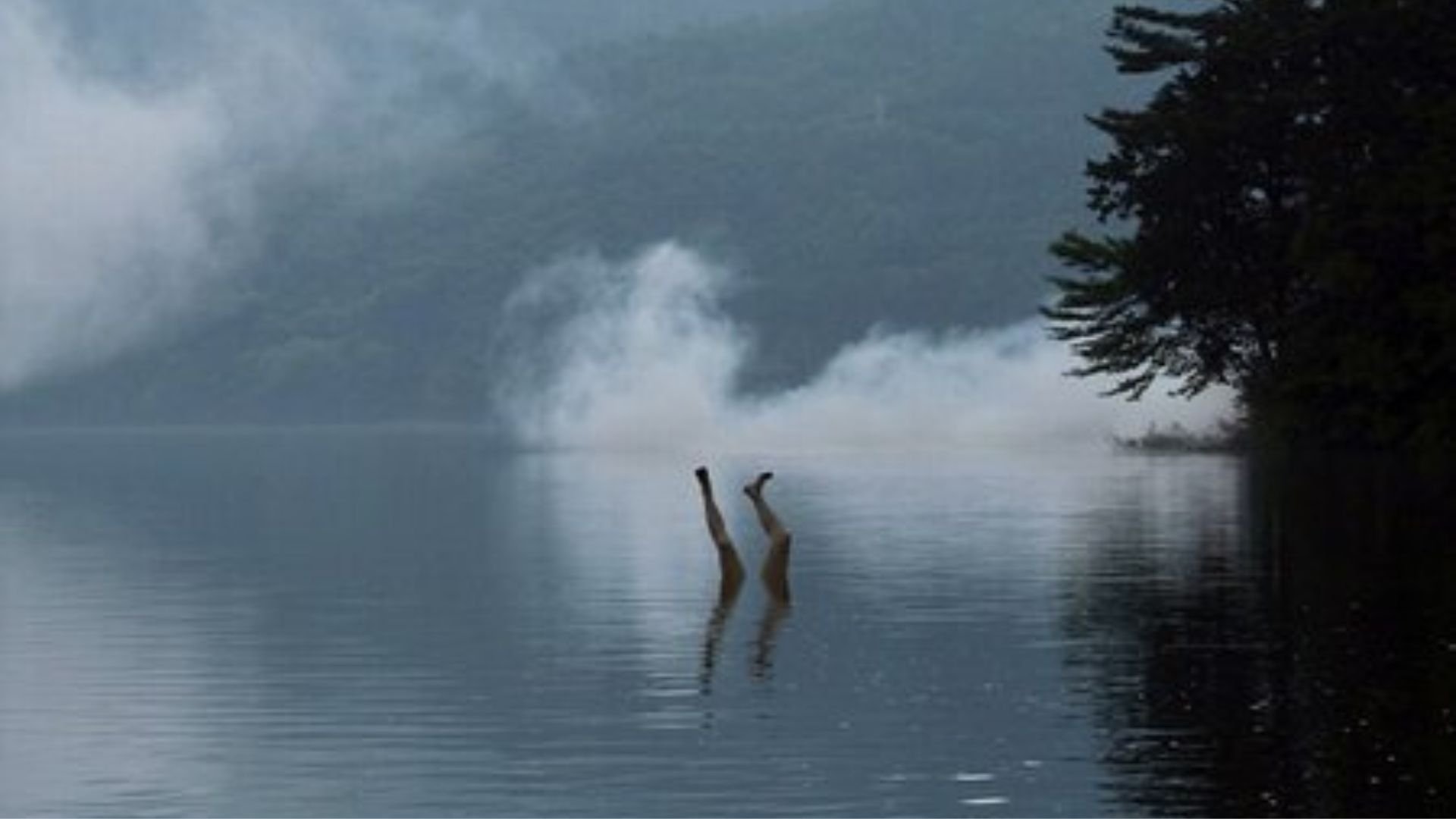 Backdrop for Murder of the Inugami Clan