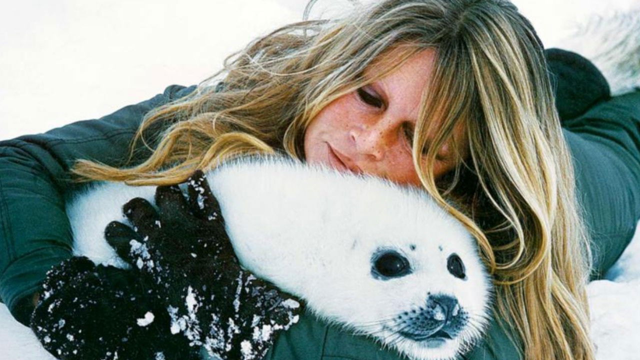 Backdrop for Brigitte Bardot, rebel with a cause