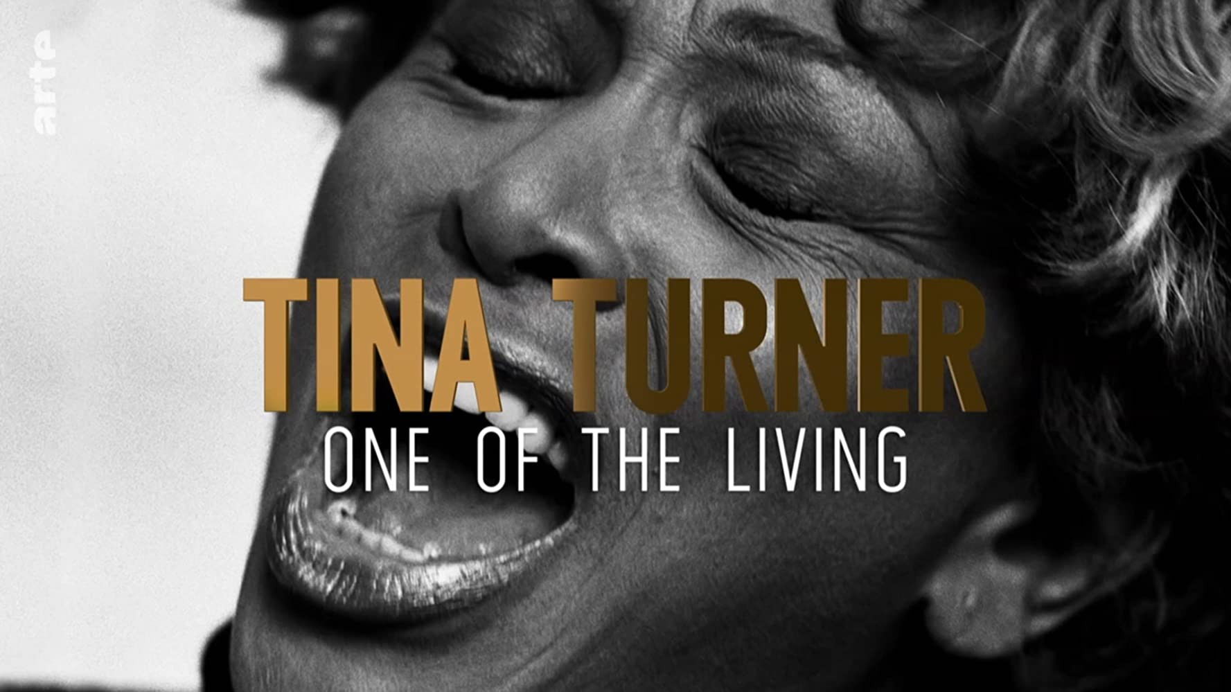 Backdrop for Tina Turner: One of the Living