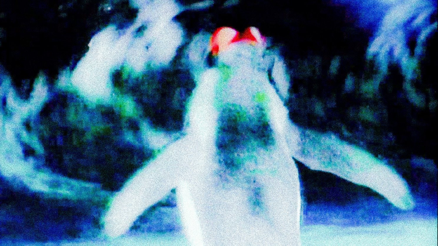 Backdrop for Notre Musique