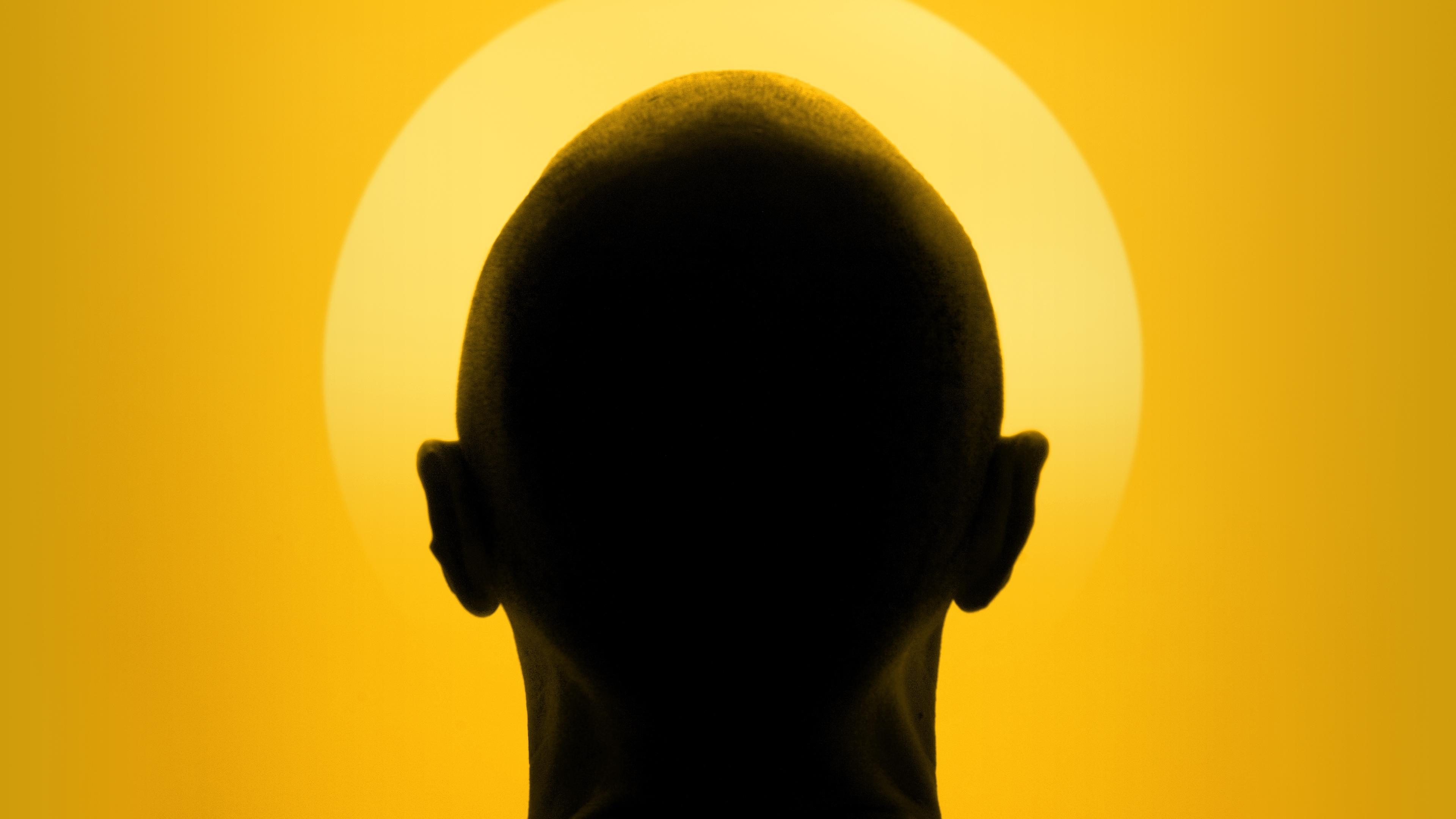 Backdrop for The Moaning of Life