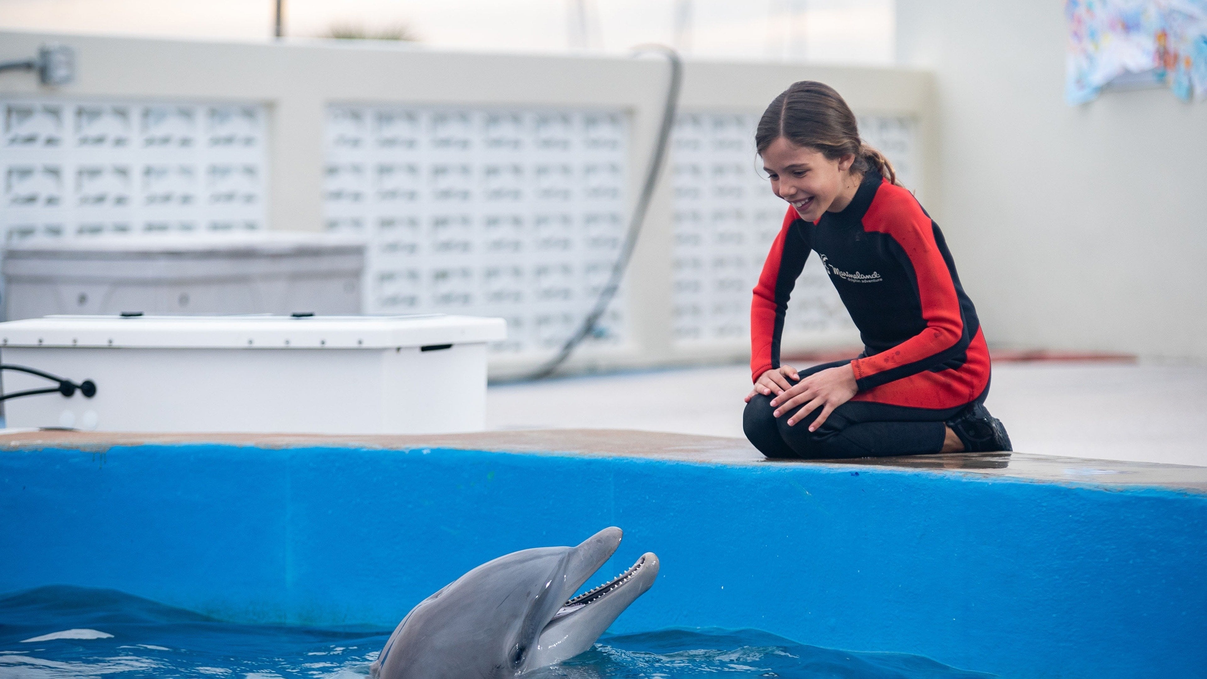 Backdrop for Bernie the Dolphin 2