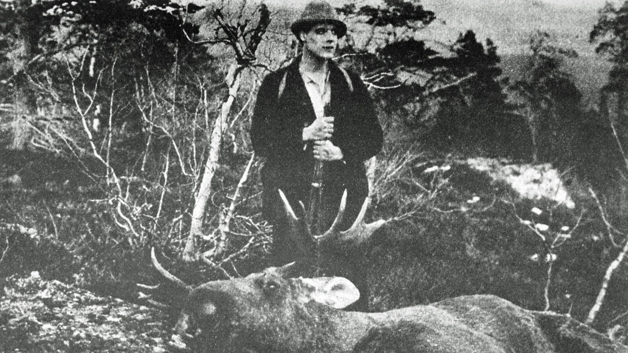 Backdrop for Troll-Elgen