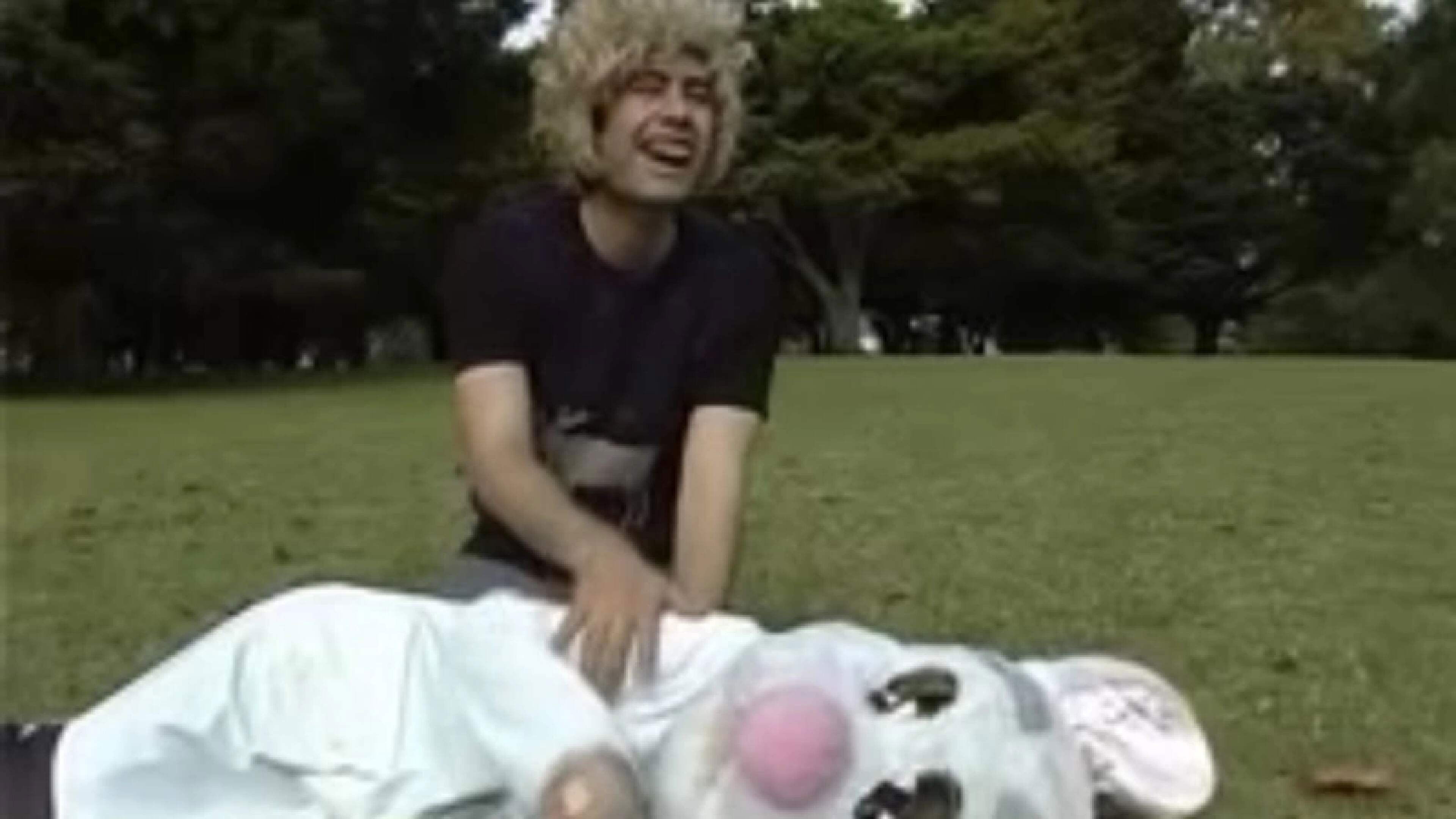 Backdrop for Falling Leaves