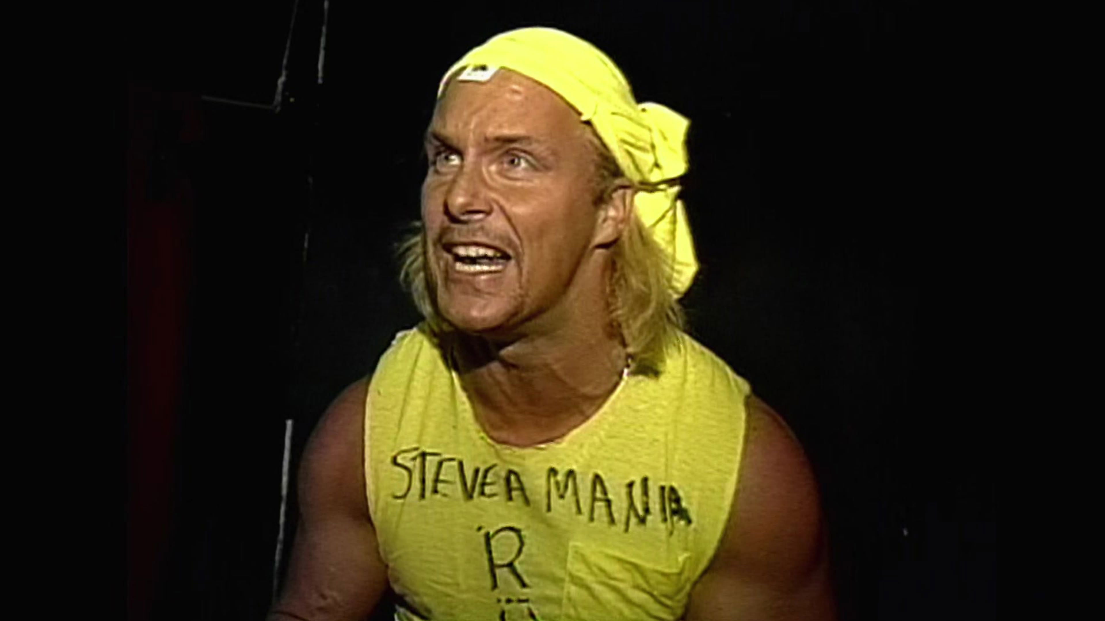 Backdrop for ECW Gangstas Paradise 1995