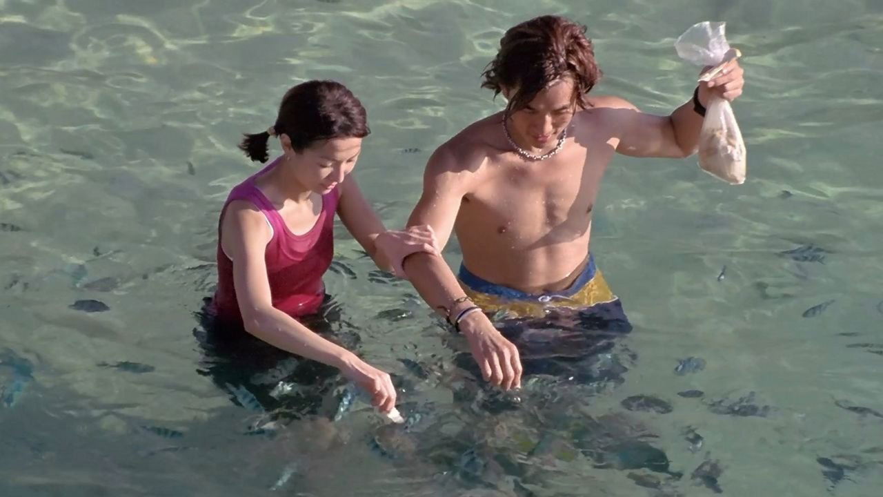 Backdrop for Summer Holiday