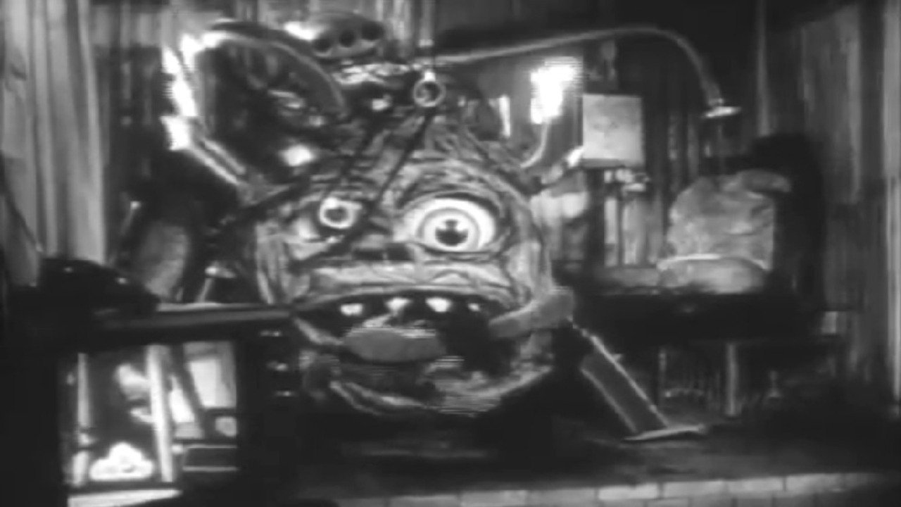 Backdrop for Red & Rosy