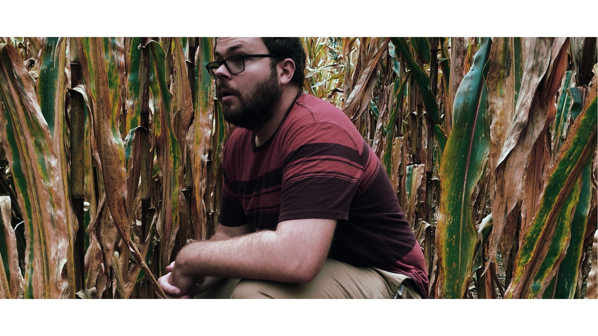 Backdrop for Willopenn Drive