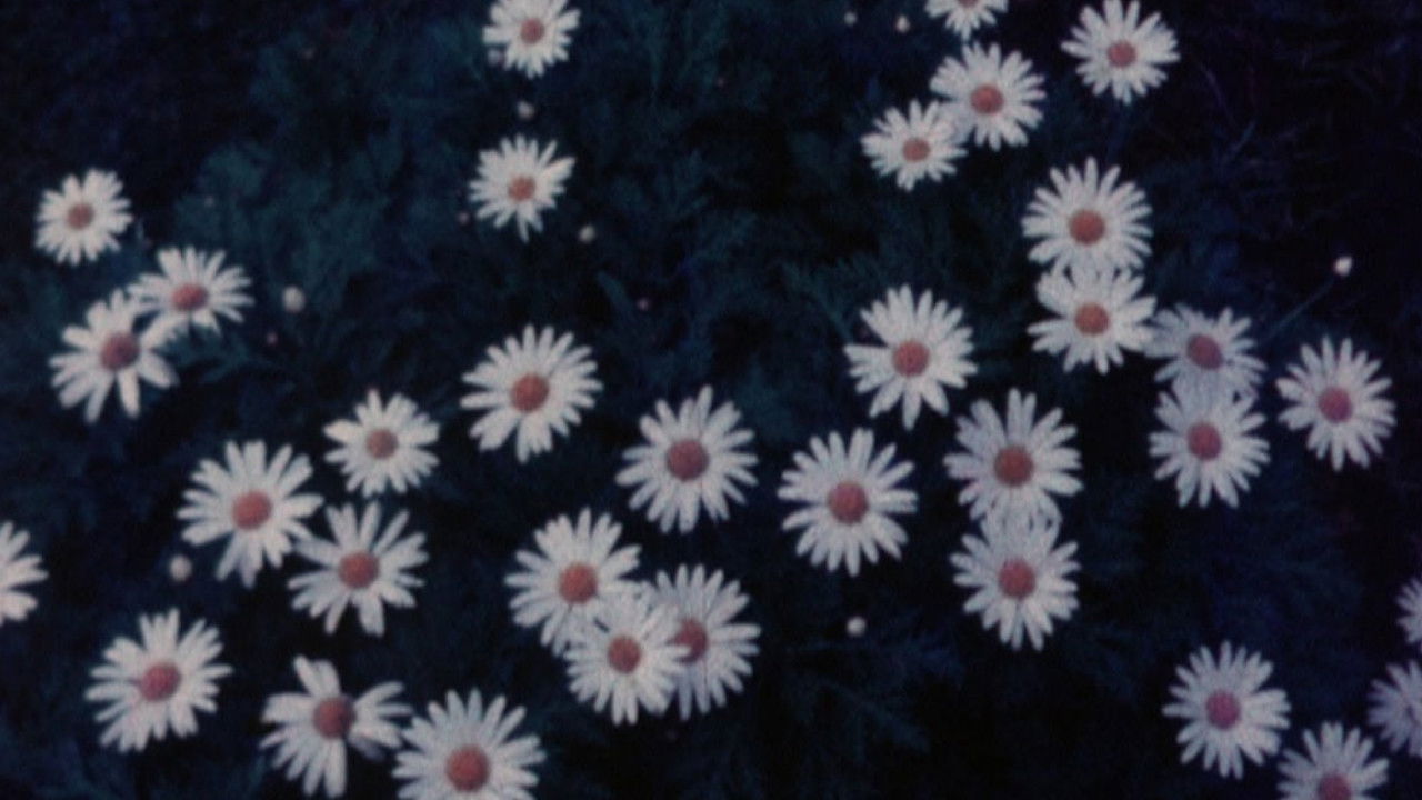 Backdrop for Offering