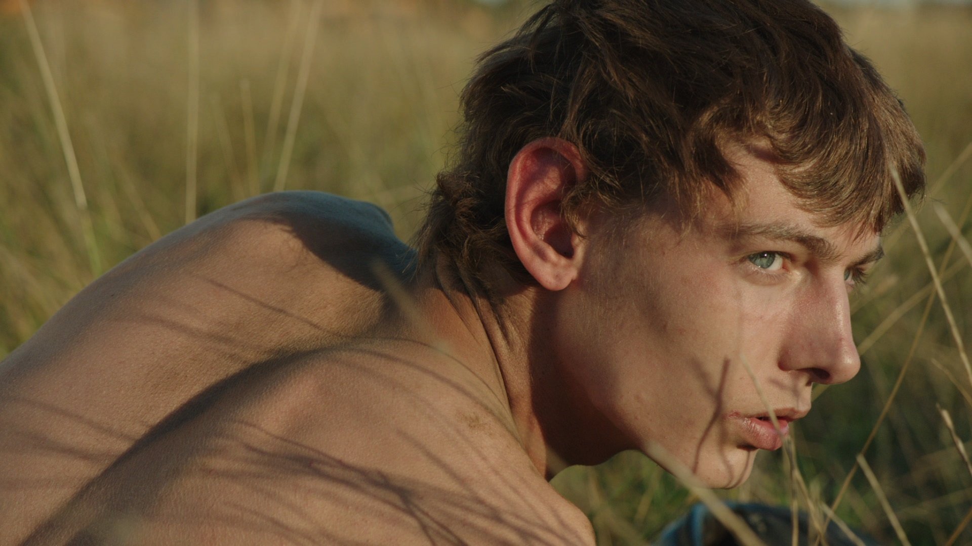 Backdrop for The Goob