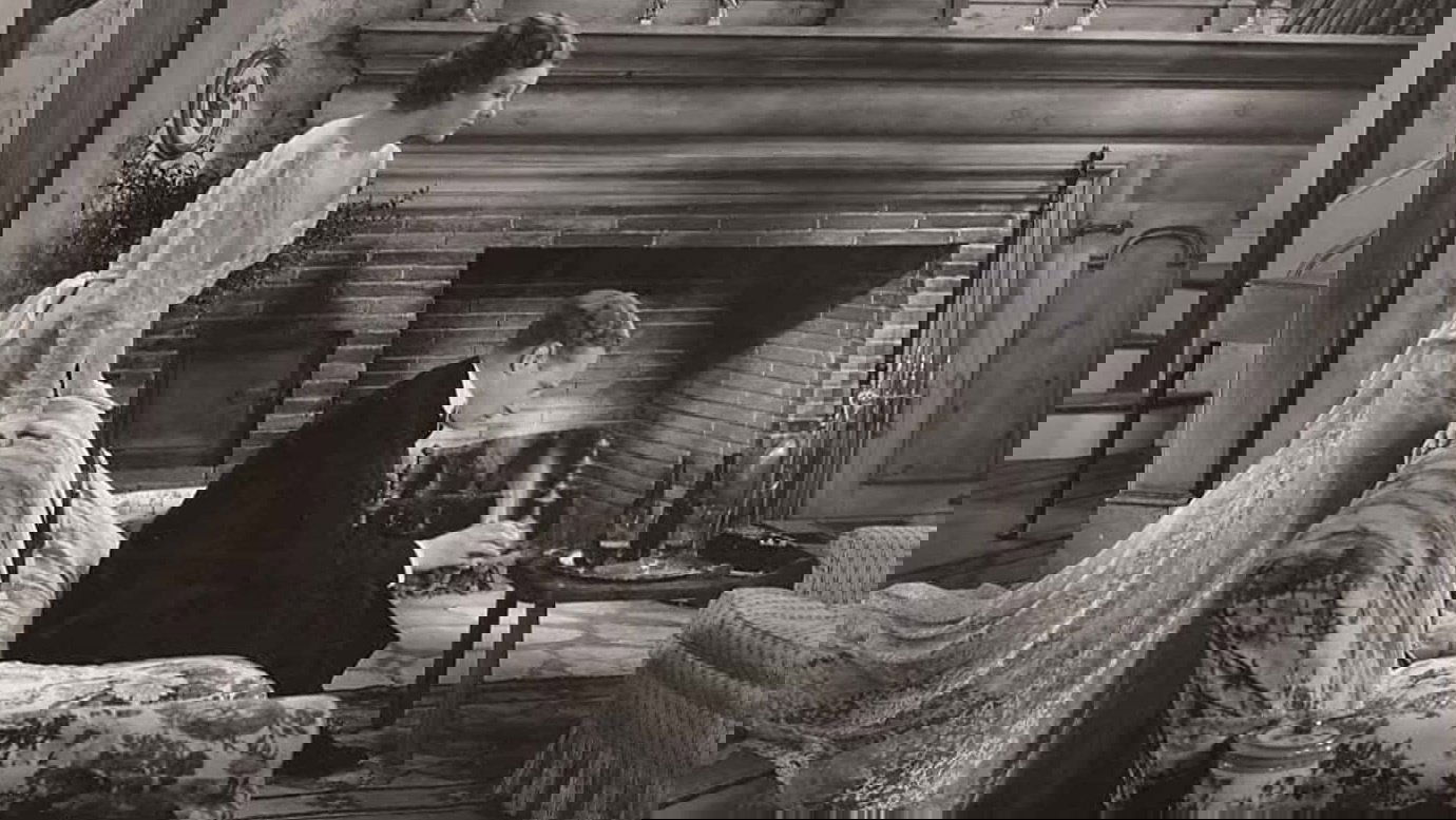 Backdrop for The Animal Kingdom