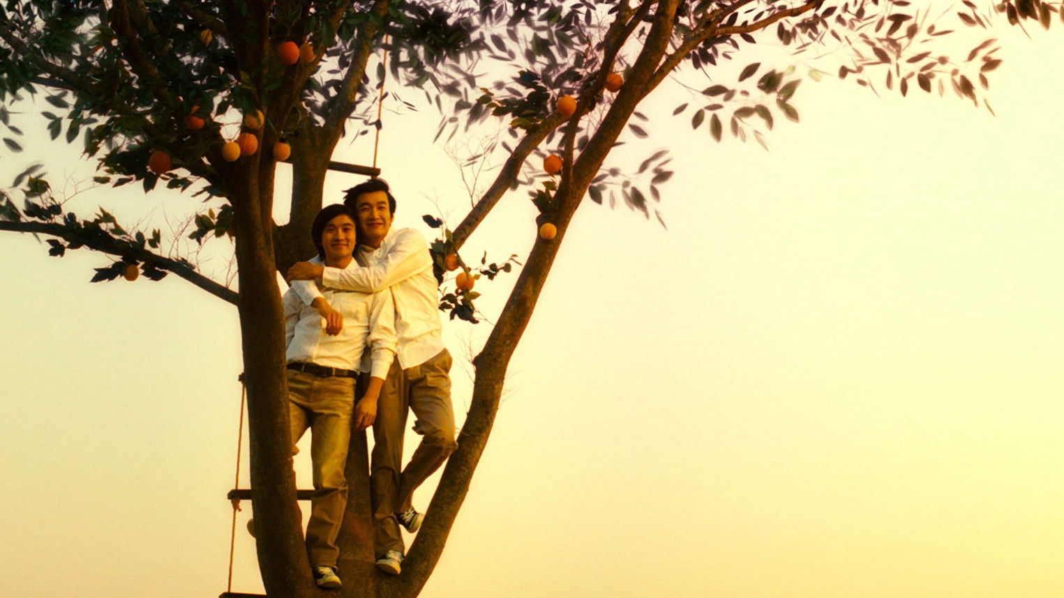 Backdrop for The Peach Tree