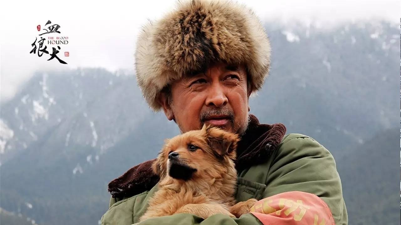 Backdrop for The Blood Hound