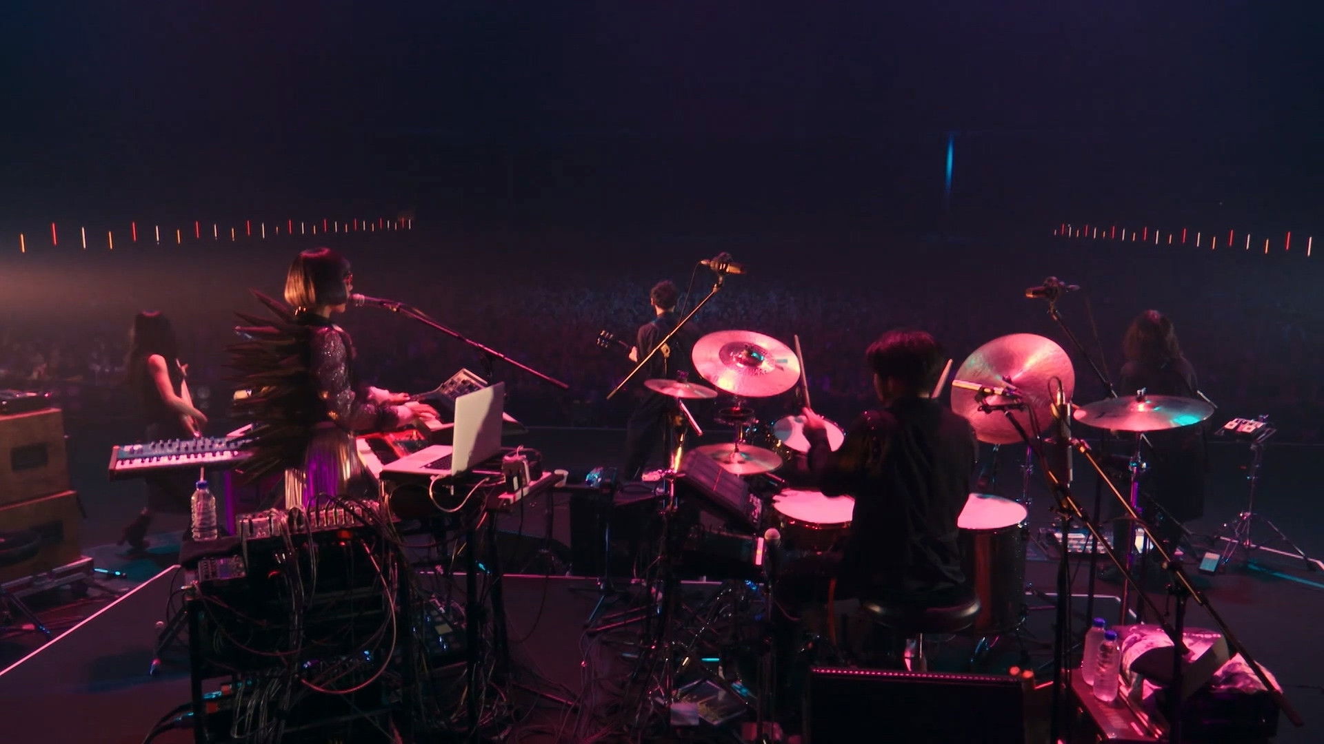 Backdrop for SAKANAQUARIUM2017 10th ANNIVERSARY Arena Session 6.1ch Sound Around